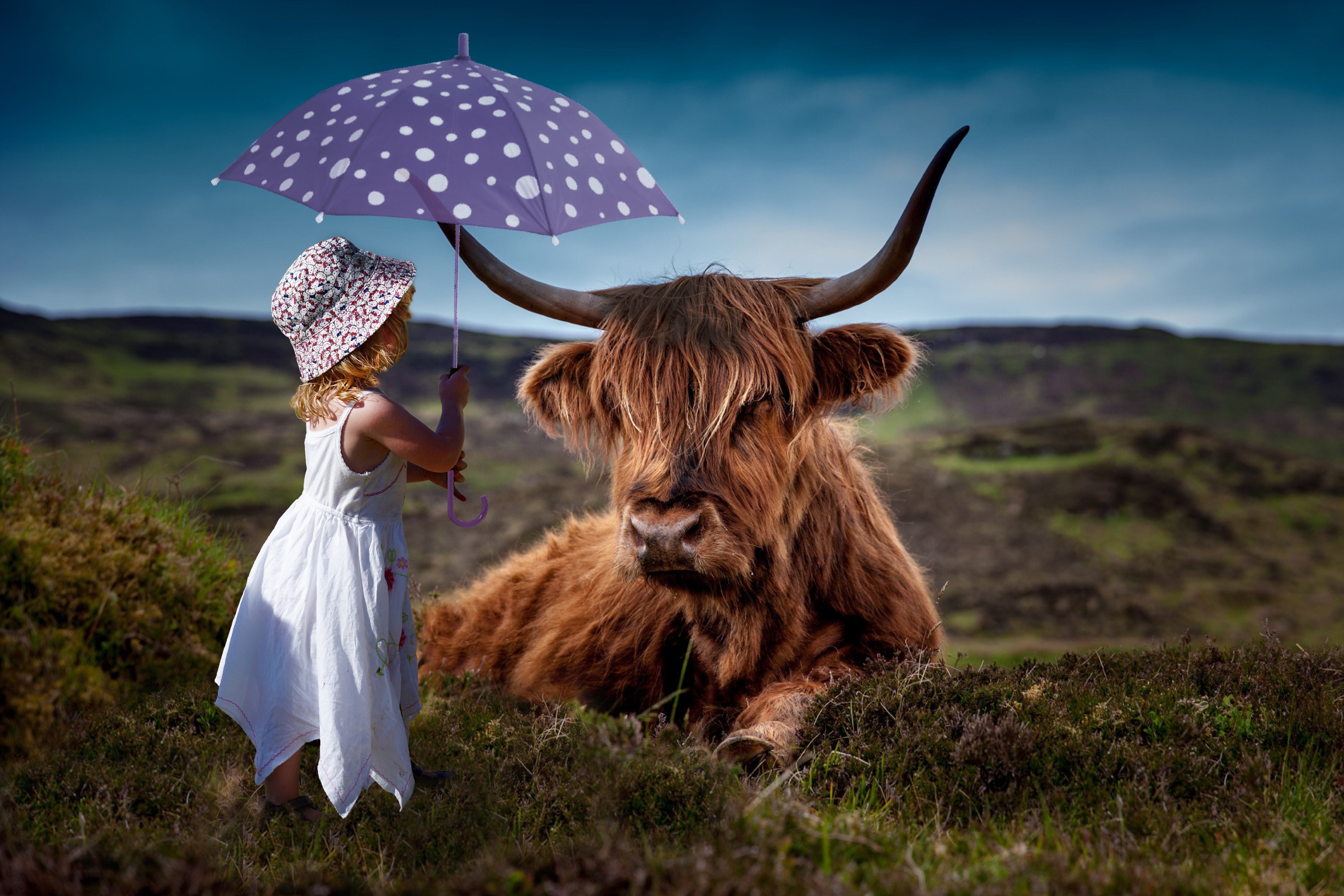child, cow, umbrella, 4k, 5k, hd, cute, photography, HD Wallpaper