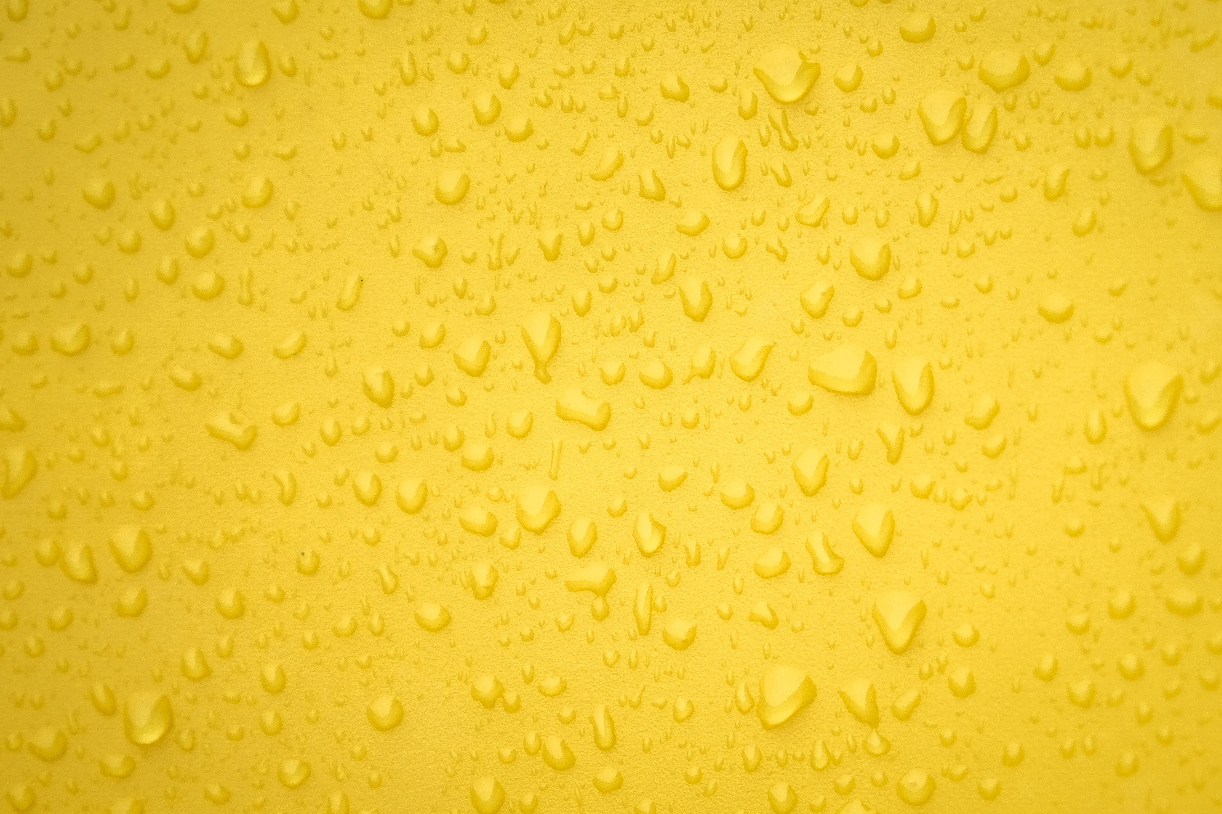 water, drops, 4k, hd, HD Wallpaper