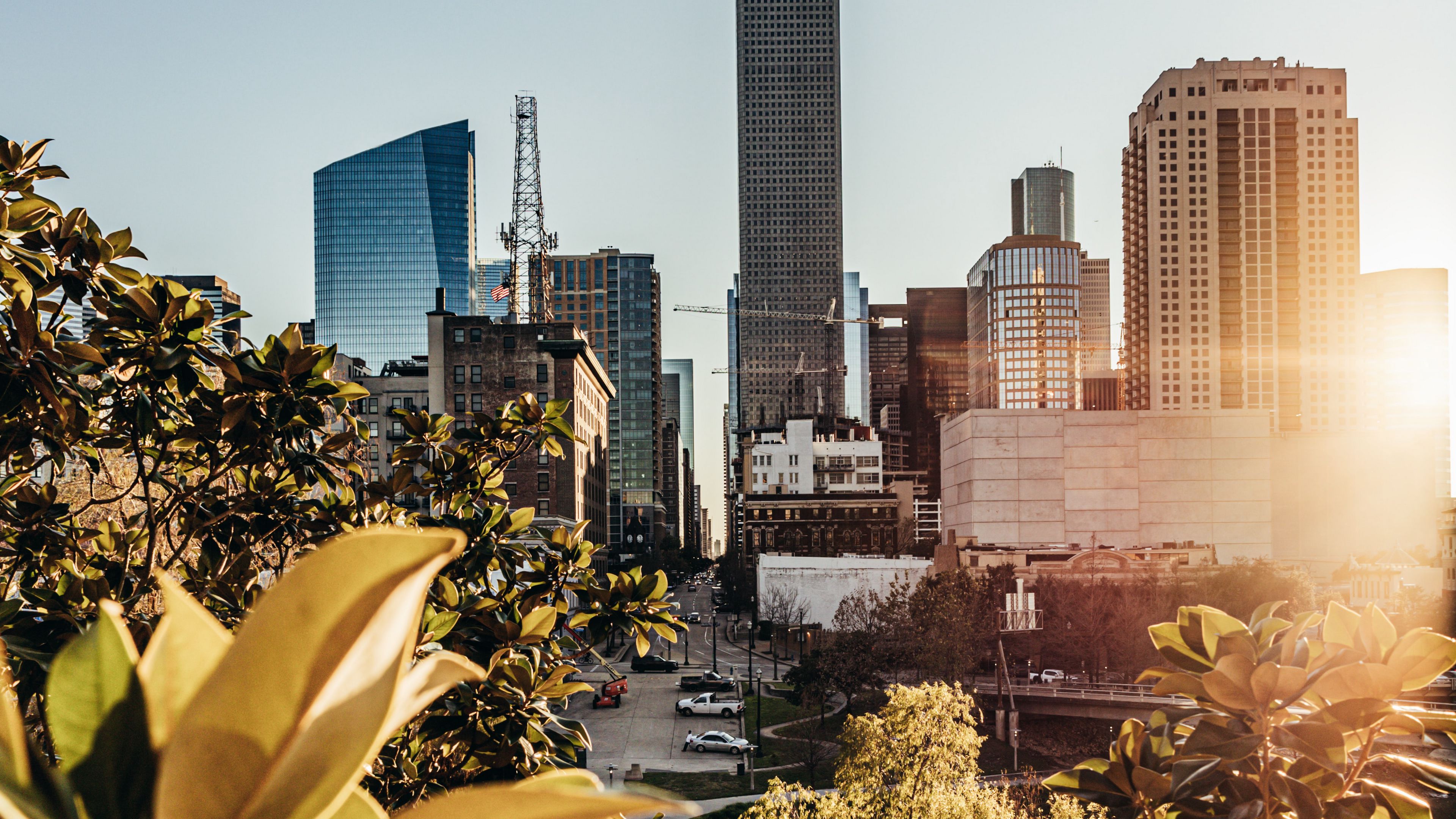 city, buildings, architecture, trees, sunlight, 4k, HD Wallpaper