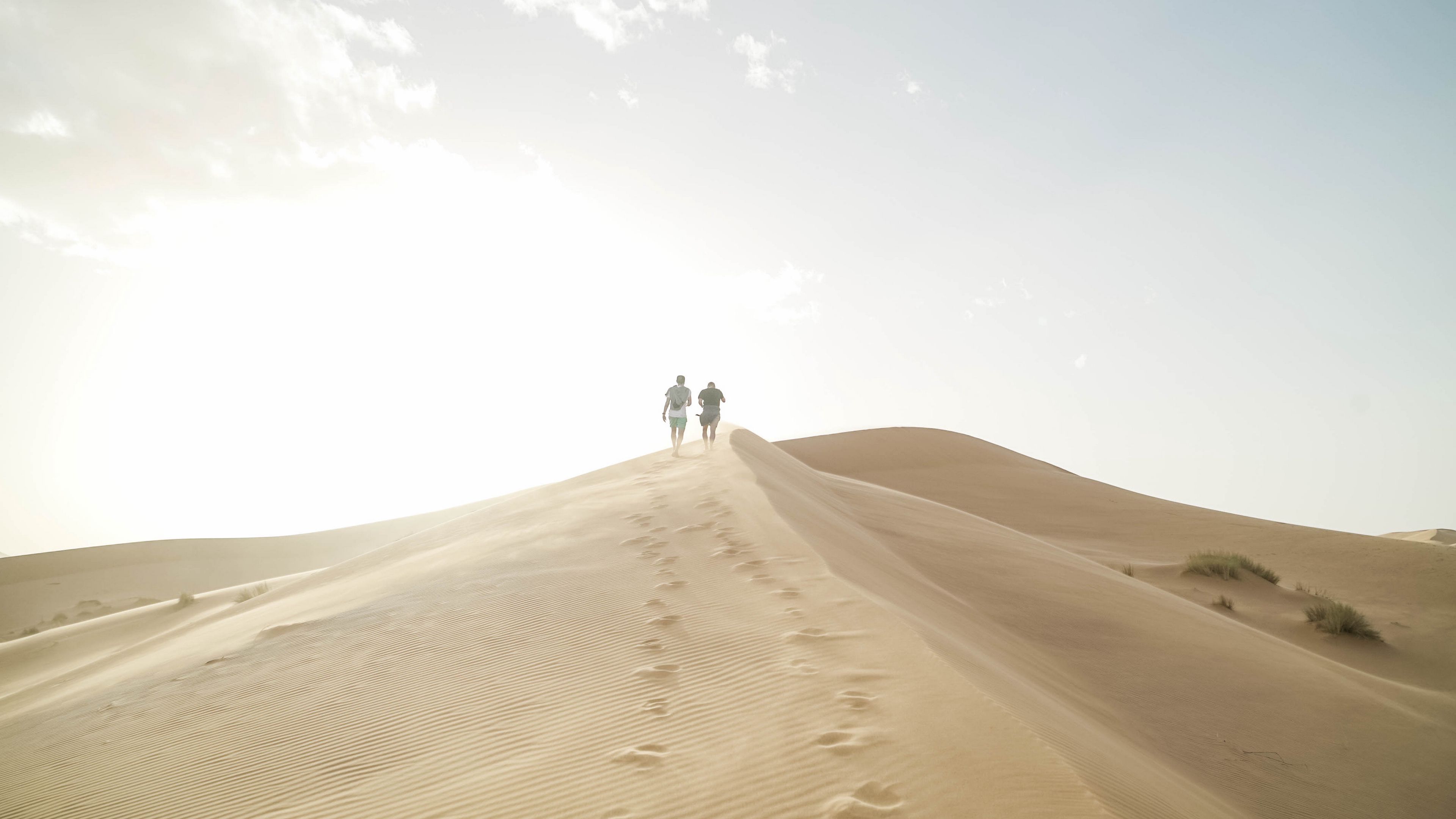 desert, people, sand, hills, walk, 4k, HD Wallpaper