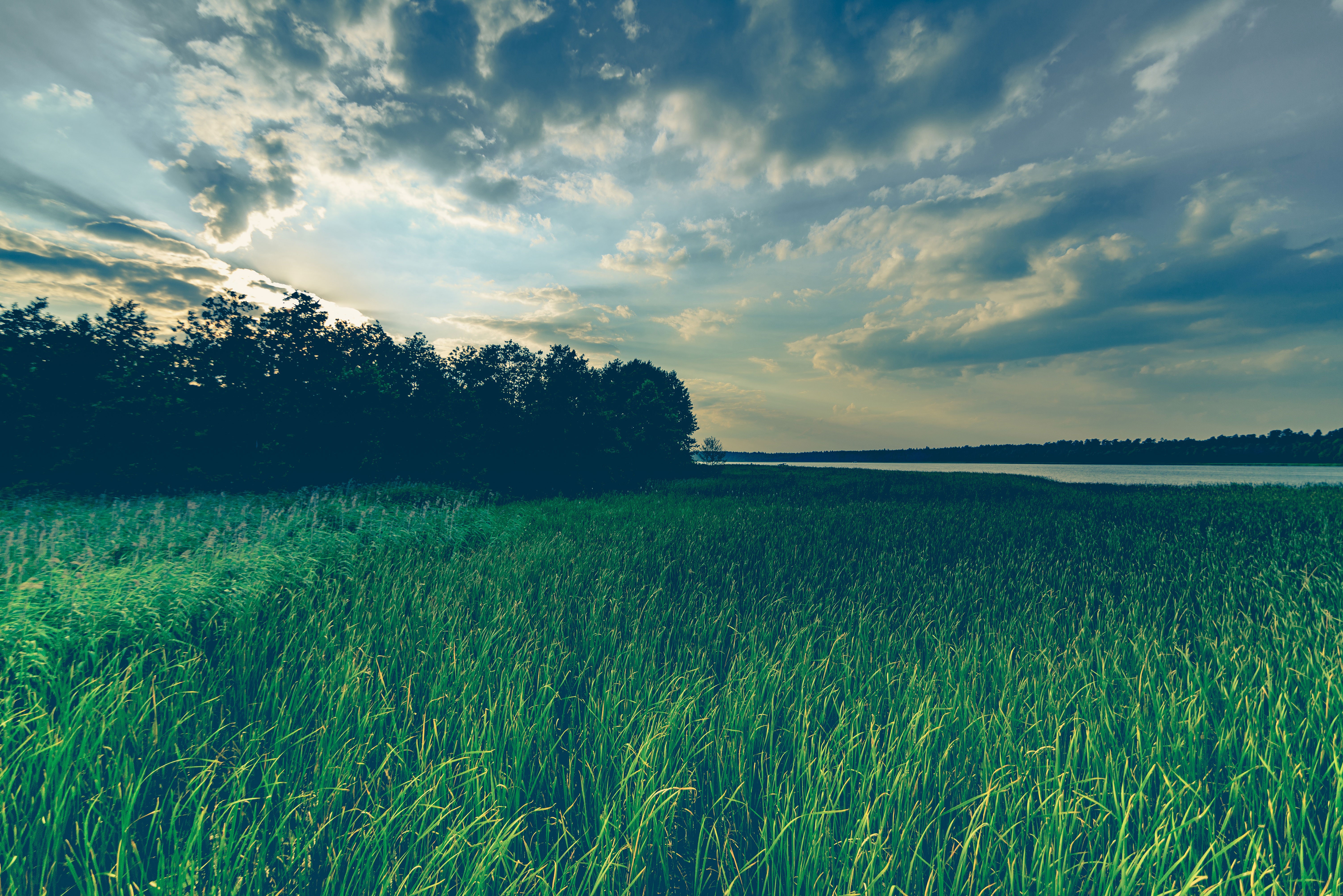 grass, field, sky, reflection, wind, nature, 4k, 5k, hd, HD Wallpaper