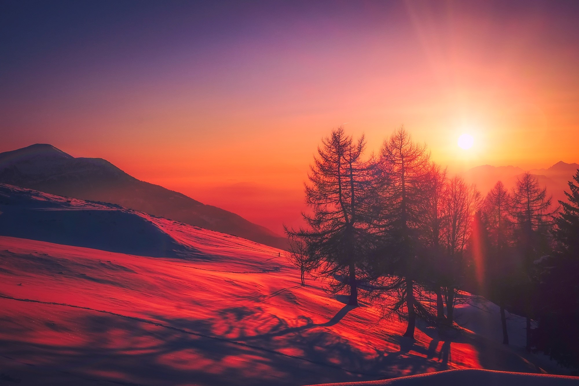 nature, trees, red, snow, hd, sunrise, photography, HD Wallpaper