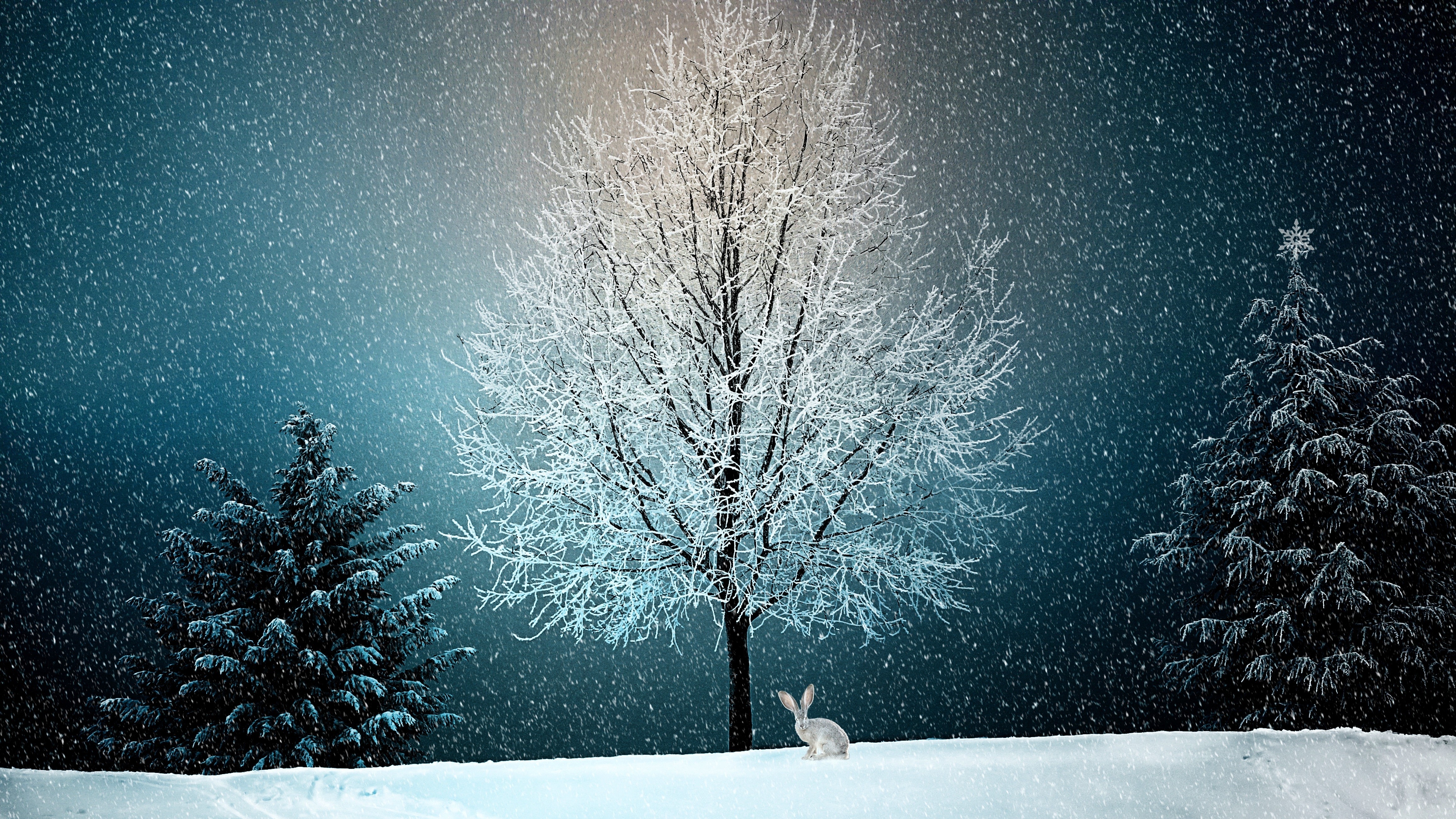 winter, snow, trees, 4k, 5k, hd, HD Wallpaper