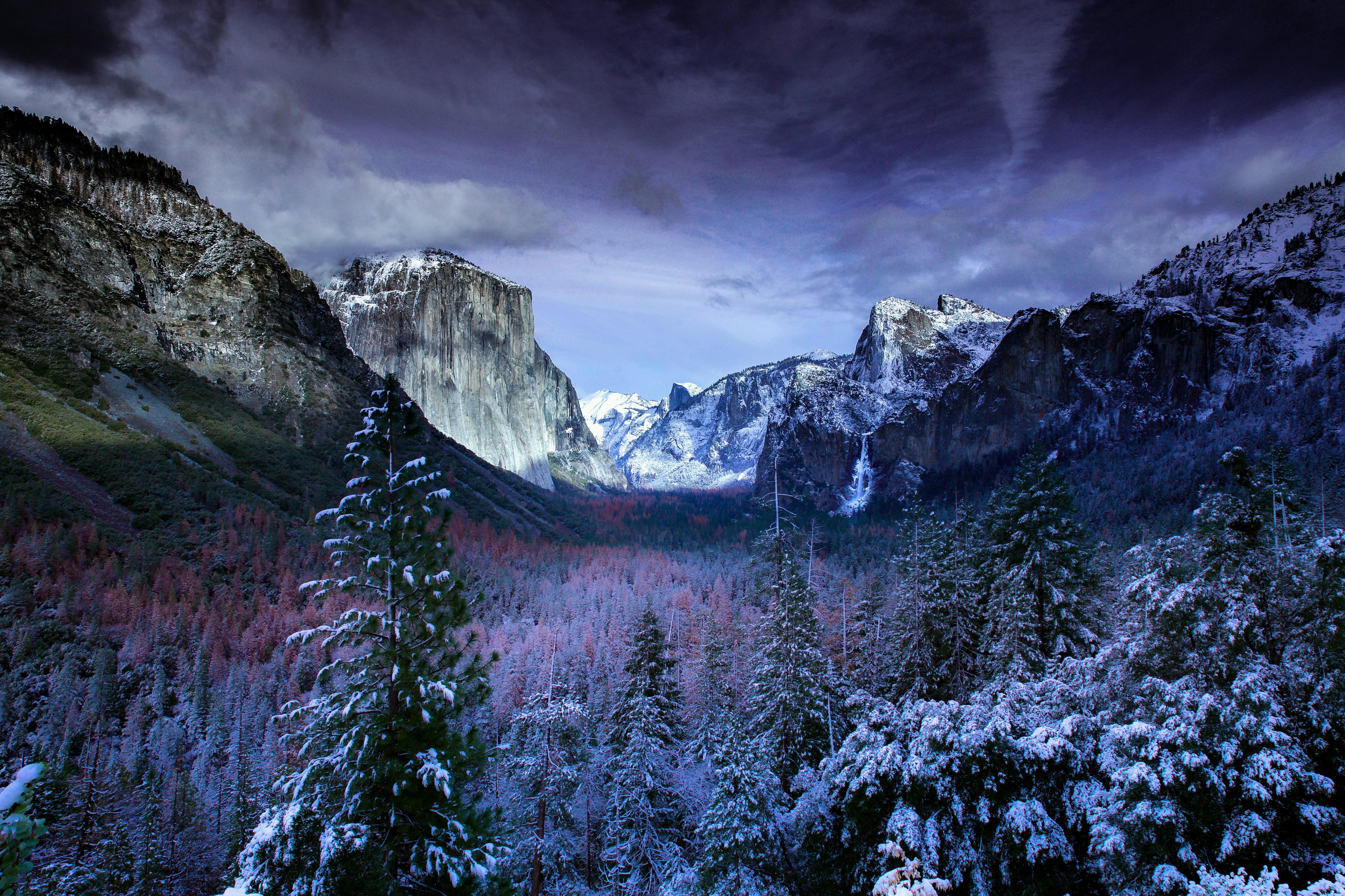 nature, trees, mountains, 4k, 5k, hd, snow, winter, HD Wallpaper
