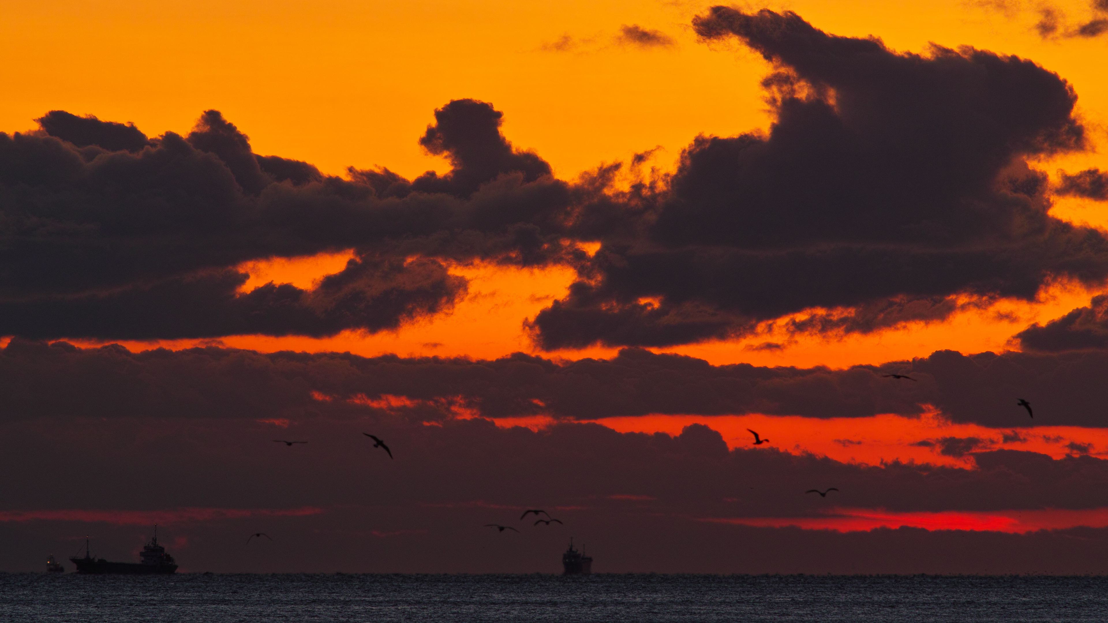 sunset, sea, ship, birds, clouds, 4k, HD Wallpaper