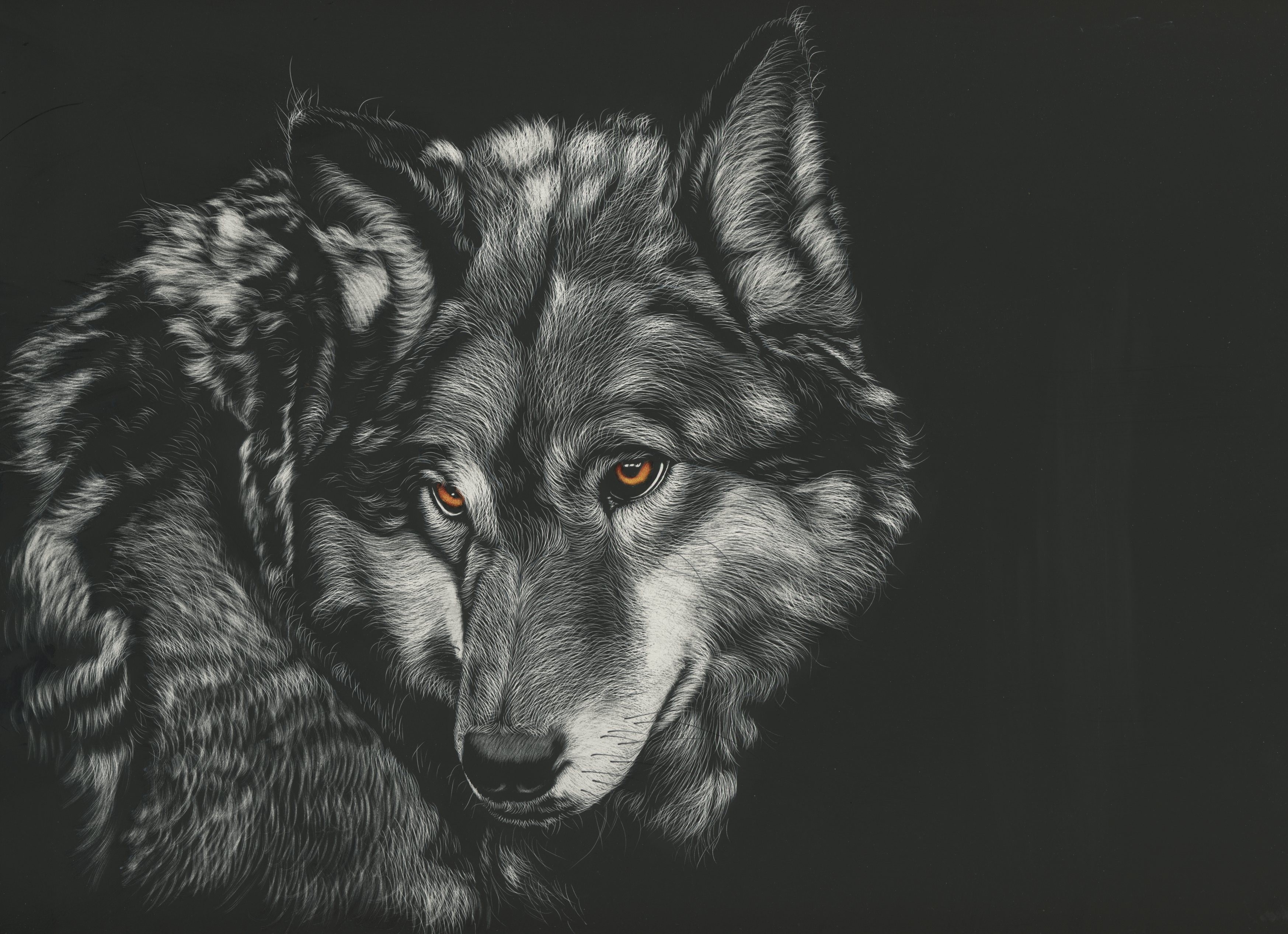 wolf, painting, animals, 4k, hd, monochrome, black and white, HD Wallpaper