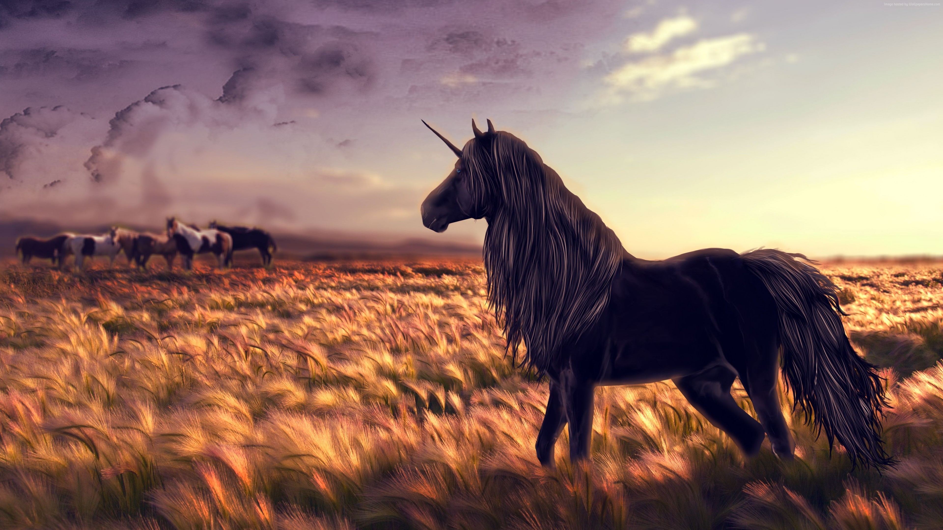 unicorn, artist, artwork, hd, 4k, digital art, HD Wallpaper