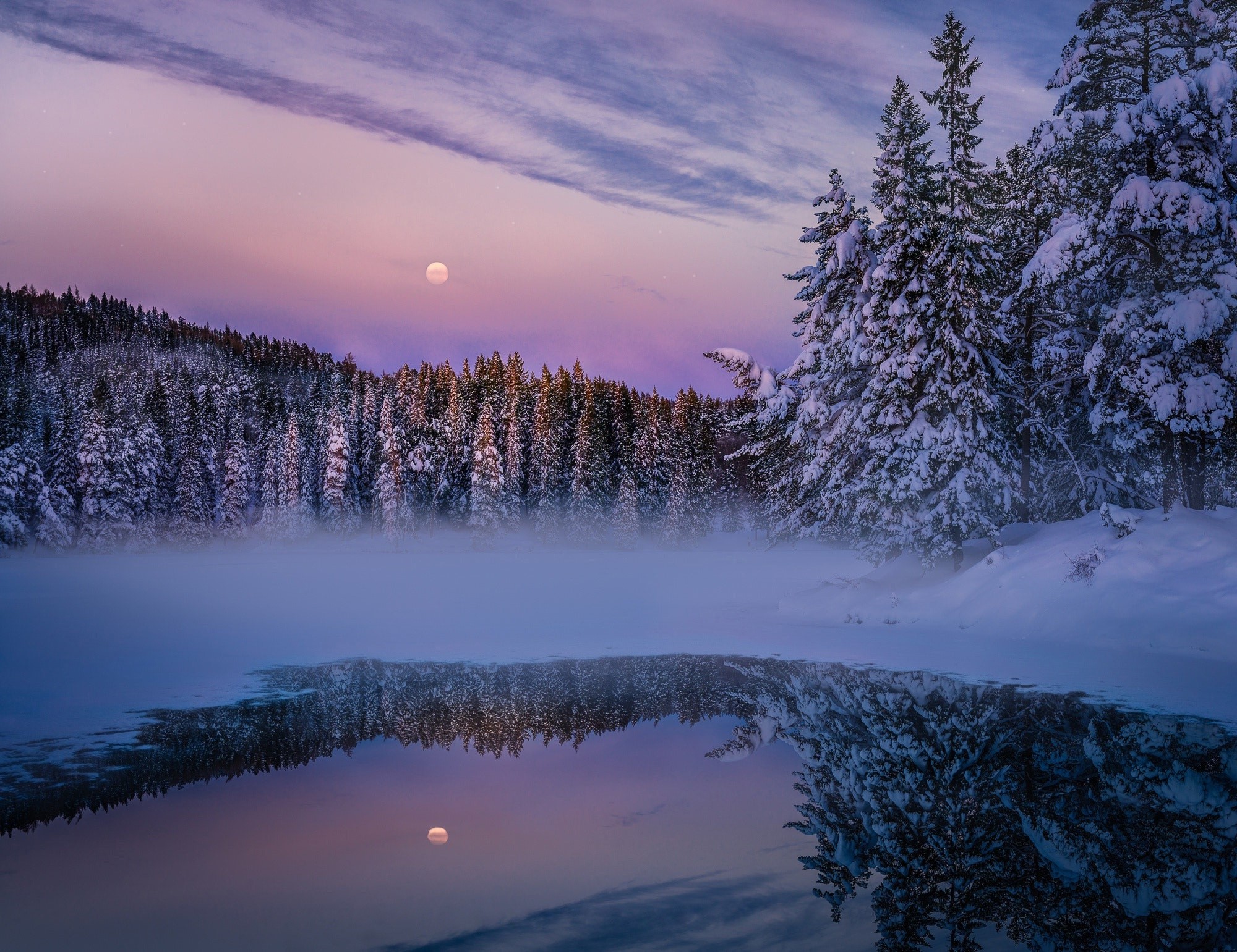 nature, trees, snow, hd, fog, lake, HD Wallpaper