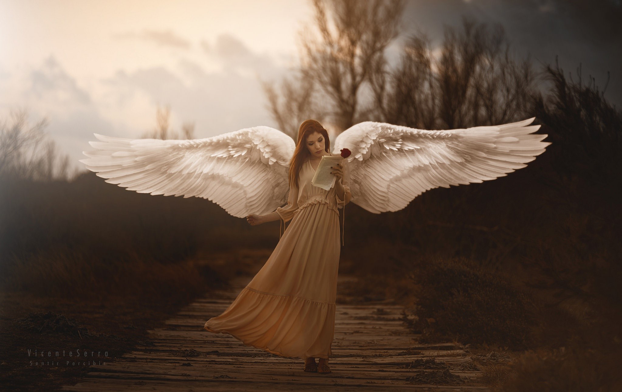 girls, model, angel, hd, HD Wallpaper