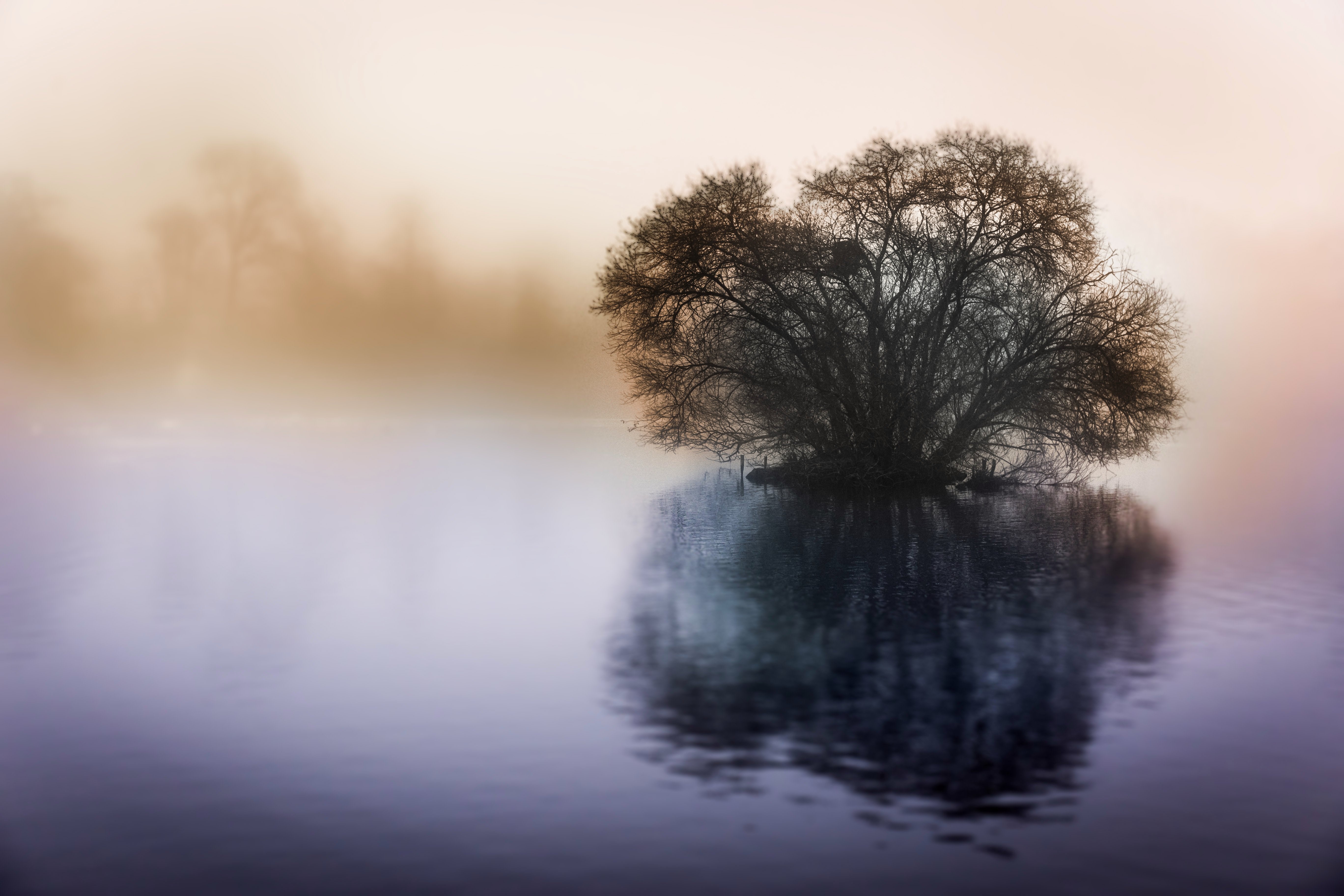 lake, 4k, 5k, nature, hd, flickr, HD Wallpaper