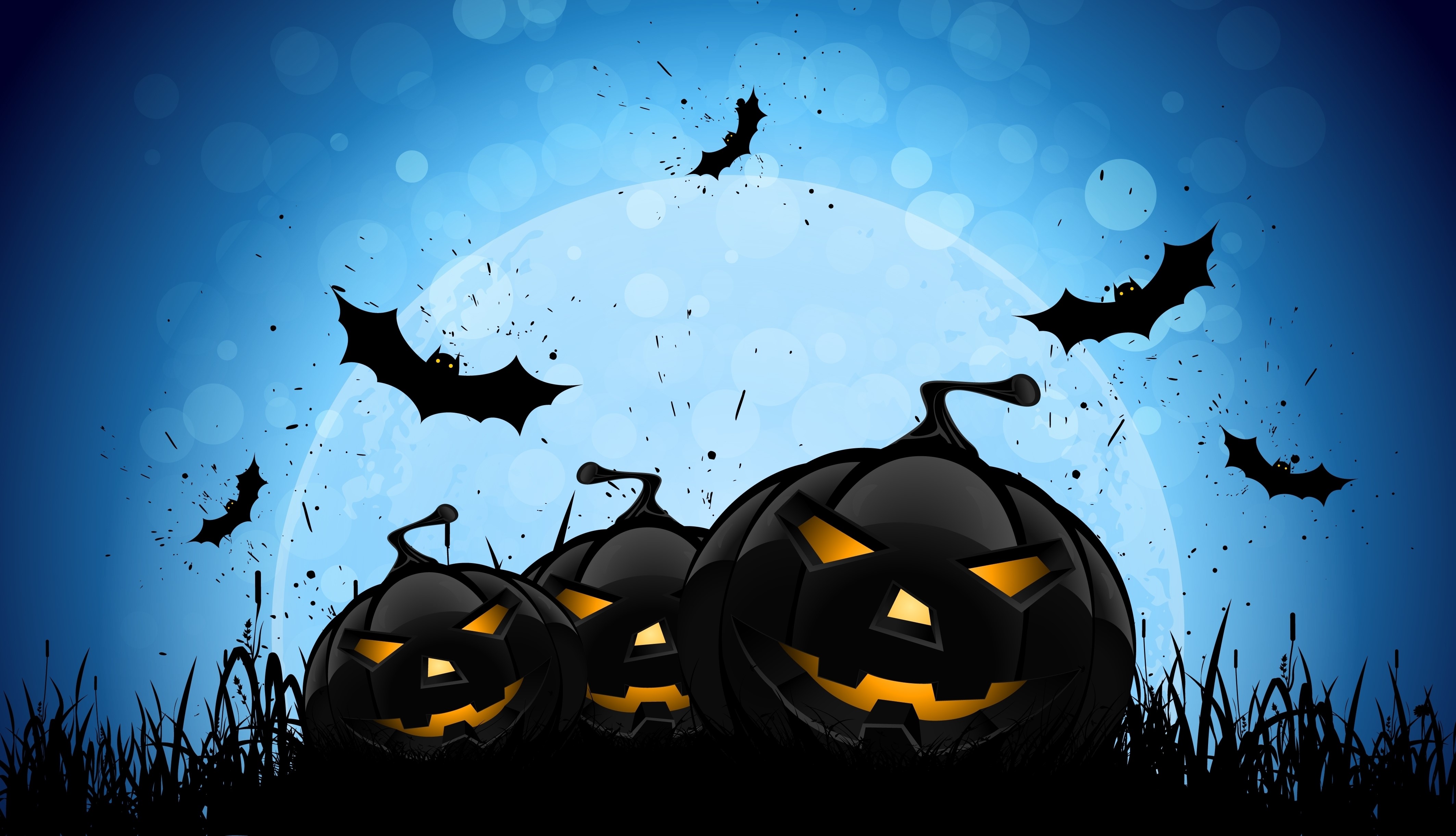 halloween, celebrations, holidays, hd, pumpkin, 4k, bat, HD Wallpaper