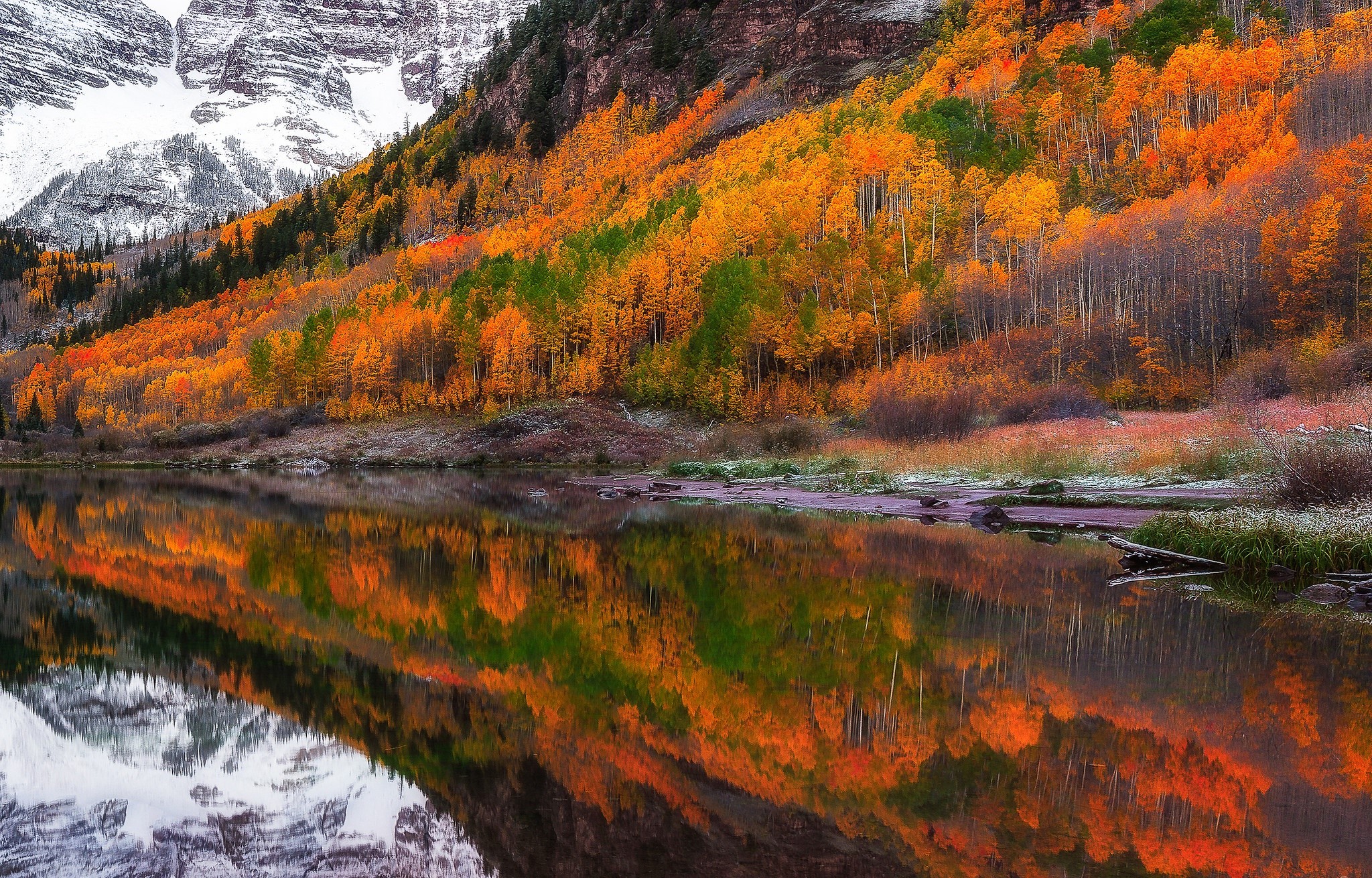reflection, nature, lake, forest, hd, HD Wallpaper