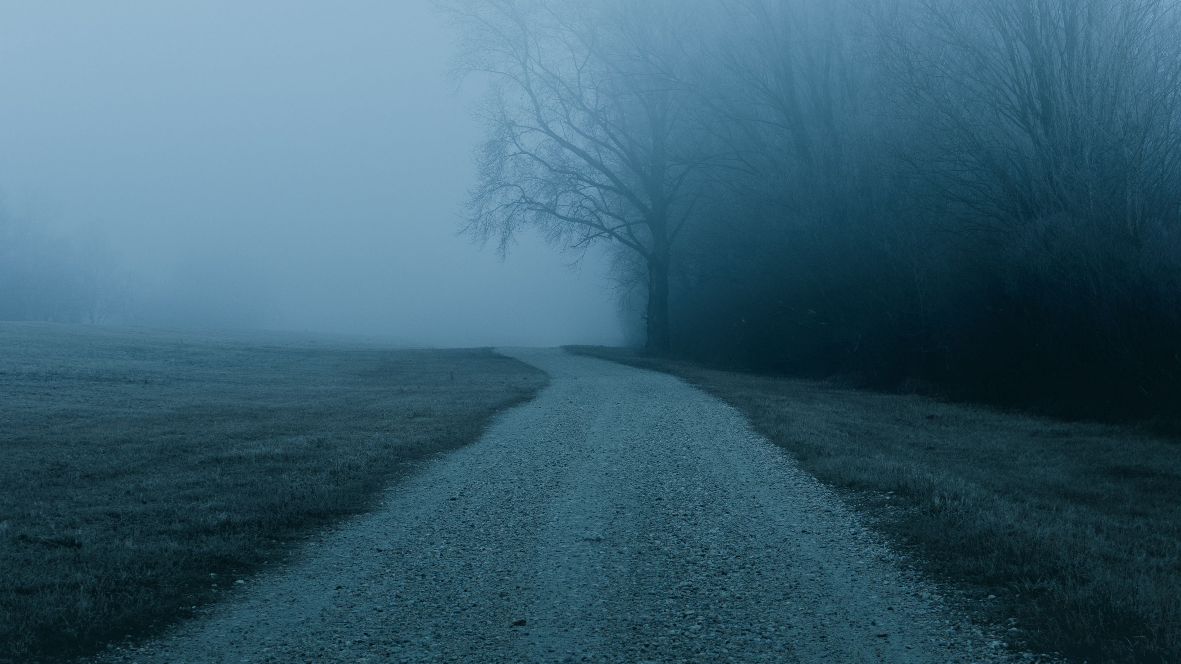 fog, road, trees, nature, 4k, HD Wallpaper