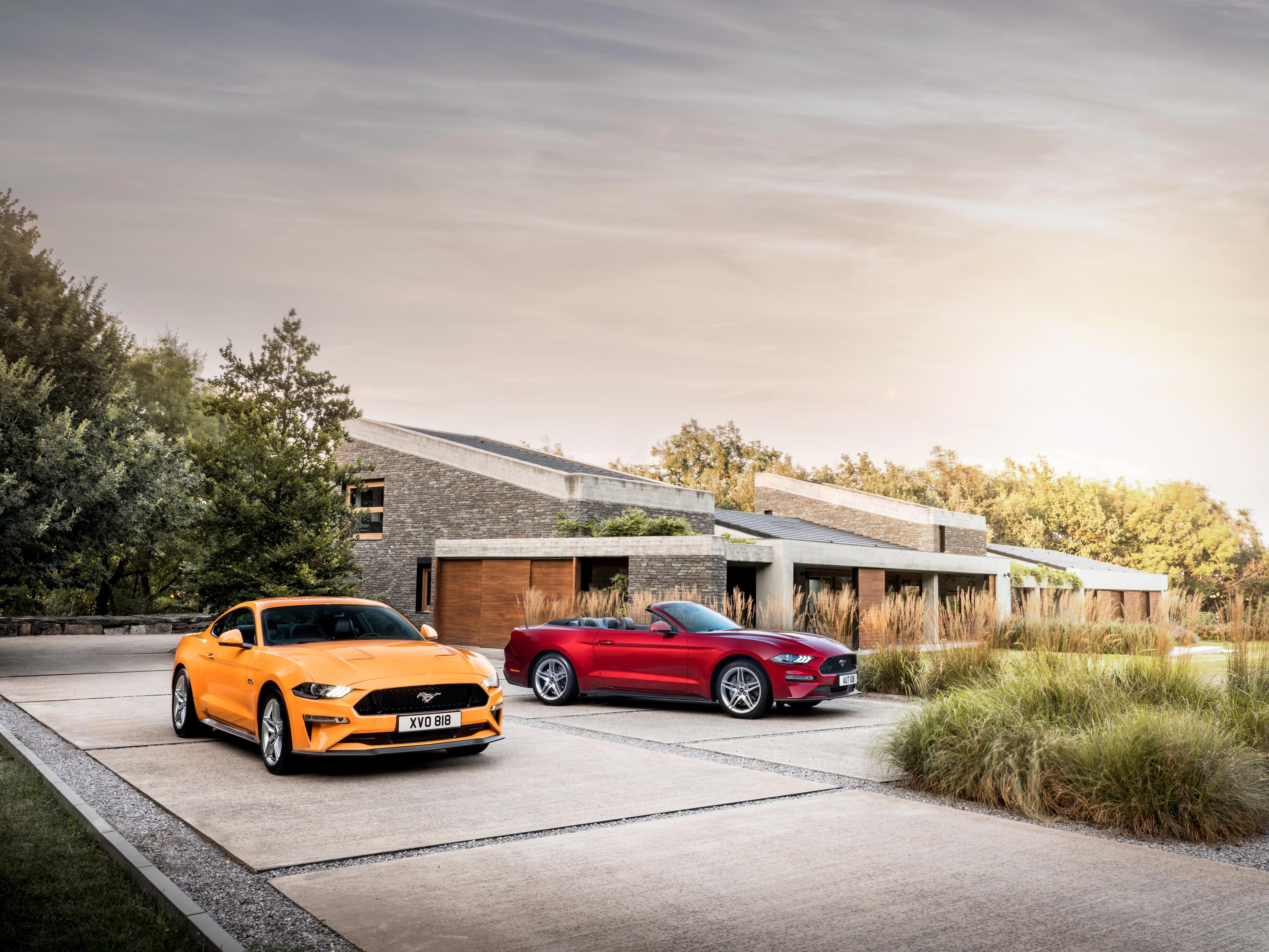ford mustang, cars, 2017 cars, hd, 4k, HD Wallpaper