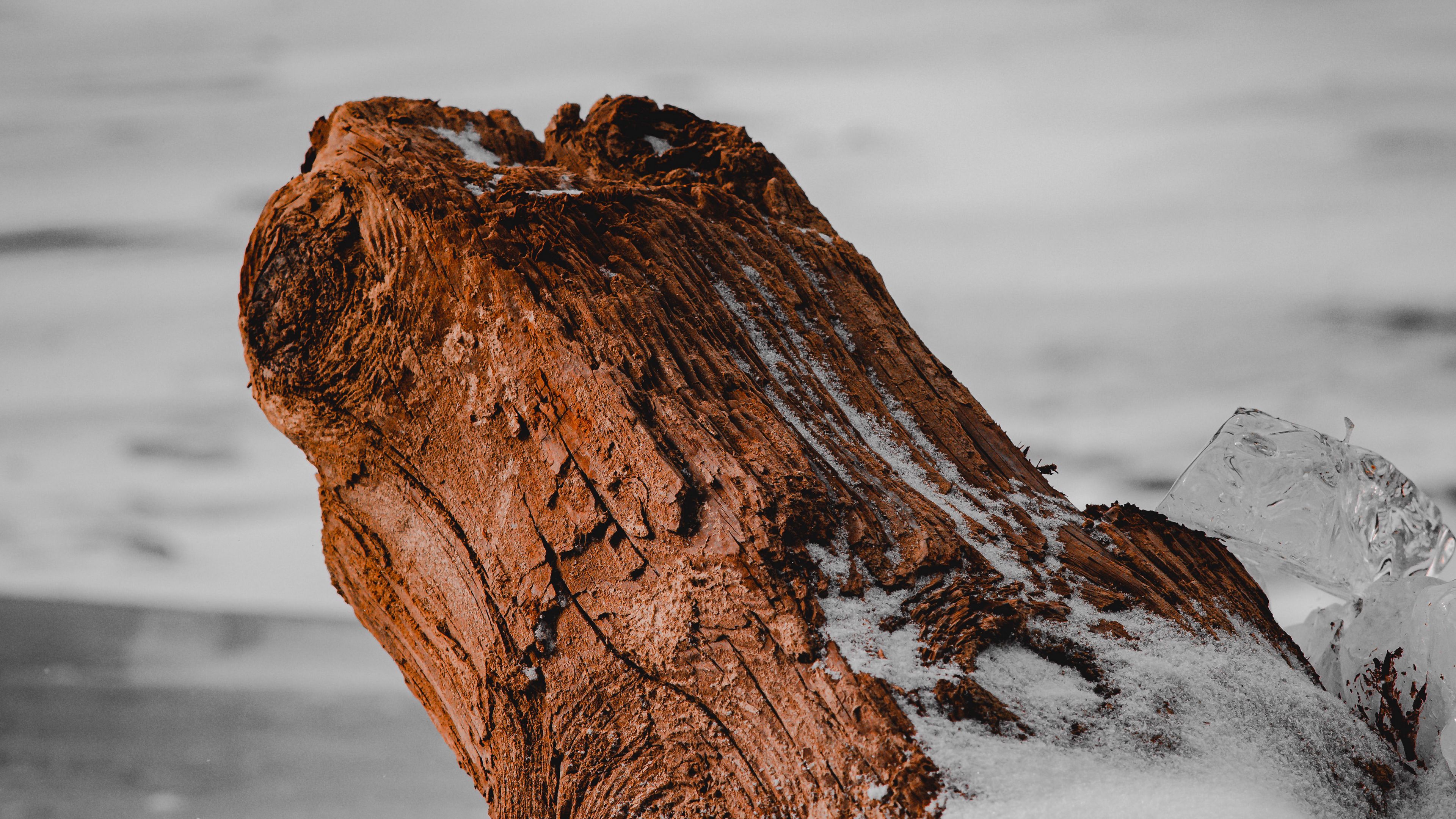 log, ice, snow, nature, 4k, HD Wallpaper