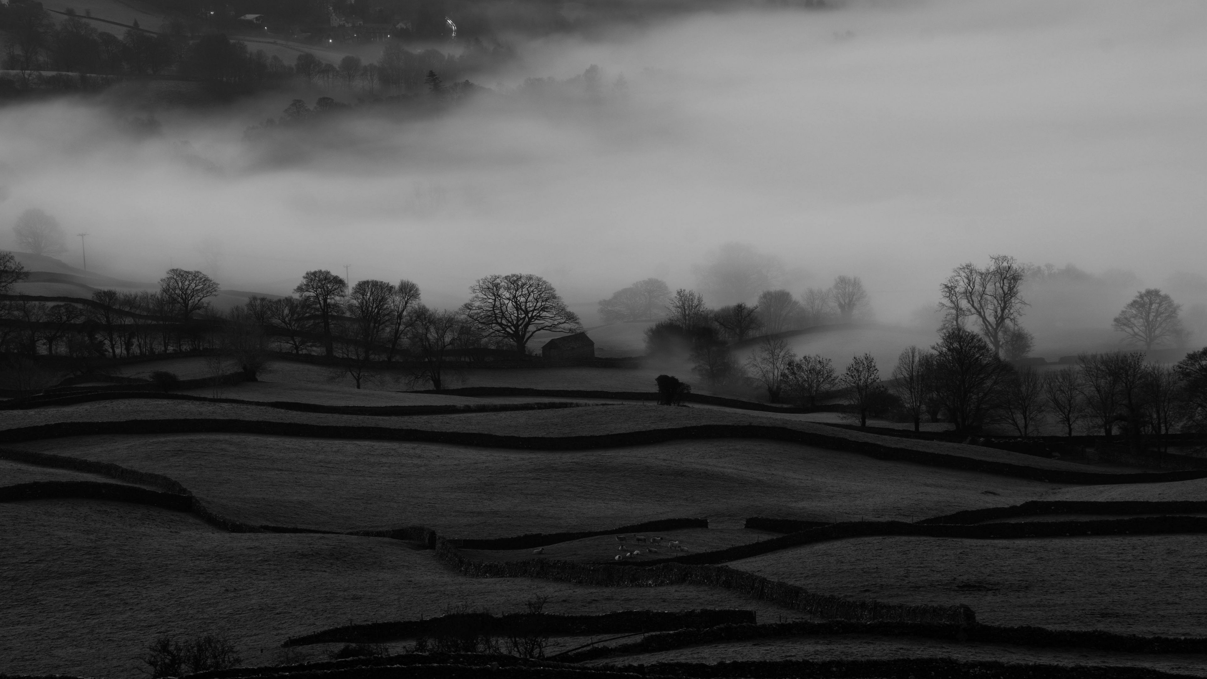 hills, fog, trees, bw, landscape, 4k, HD Wallpaper