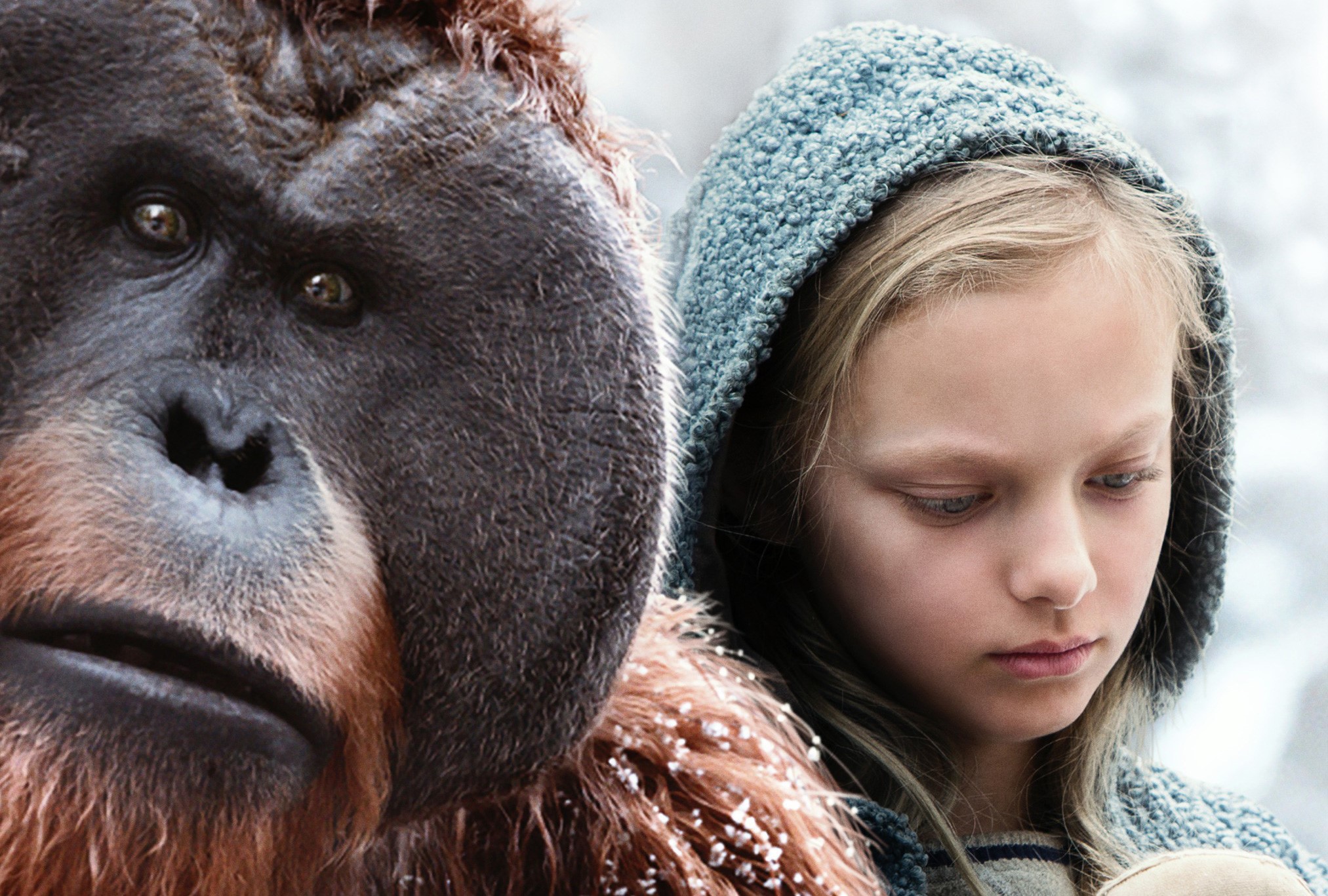 war for the planet of the apes, 2017 movies, movies, hd, HD Wallpaper