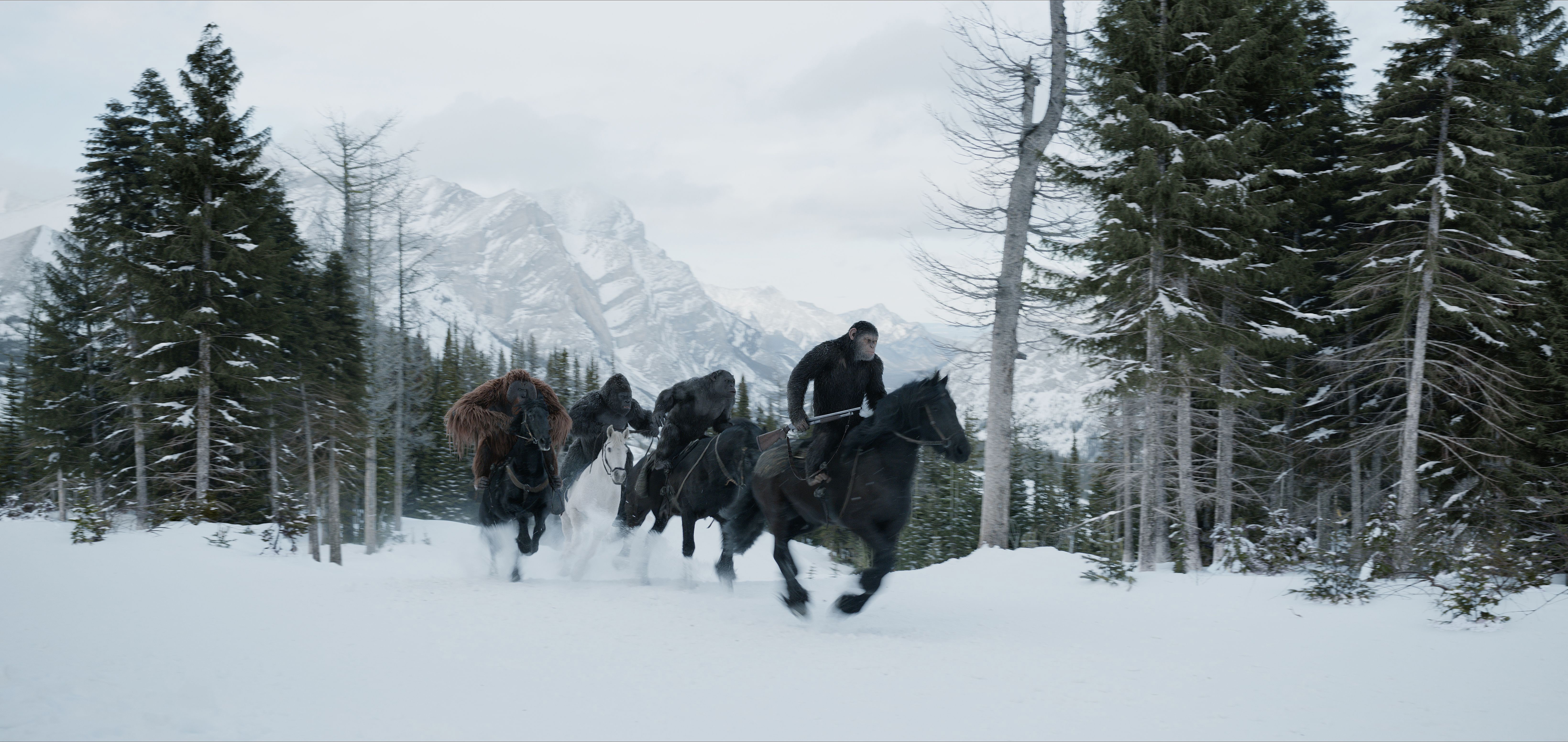 war for the planet of the apes, 2017 movies, movies, hd, 4k, 5k, HD Wallpaper