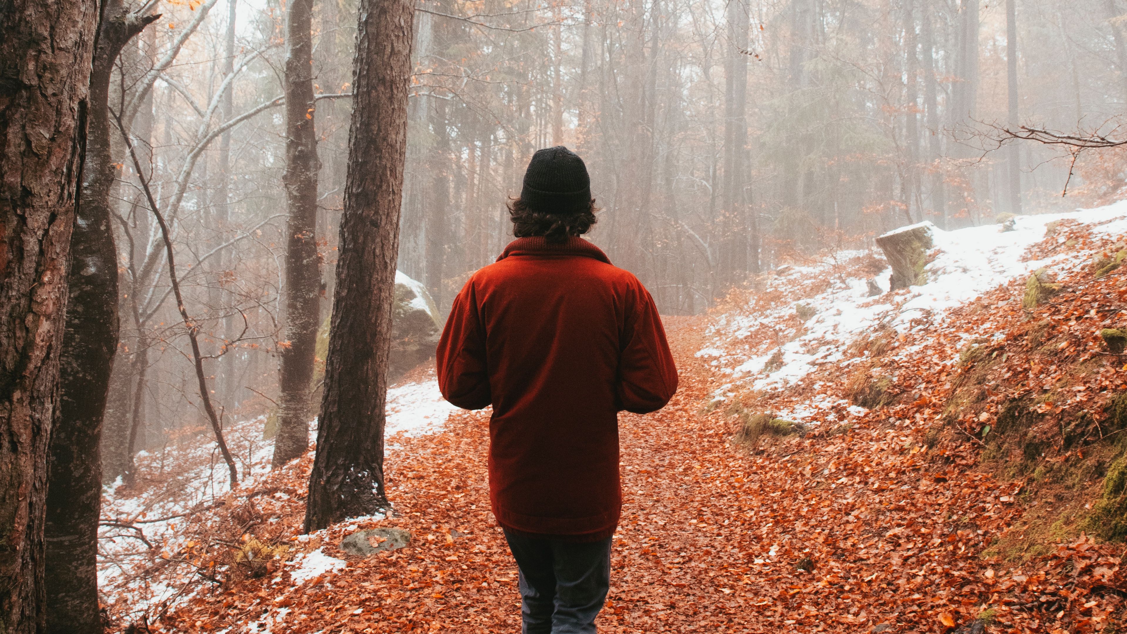 man, alone, forest, fog, walk, 4k, HD Wallpaper