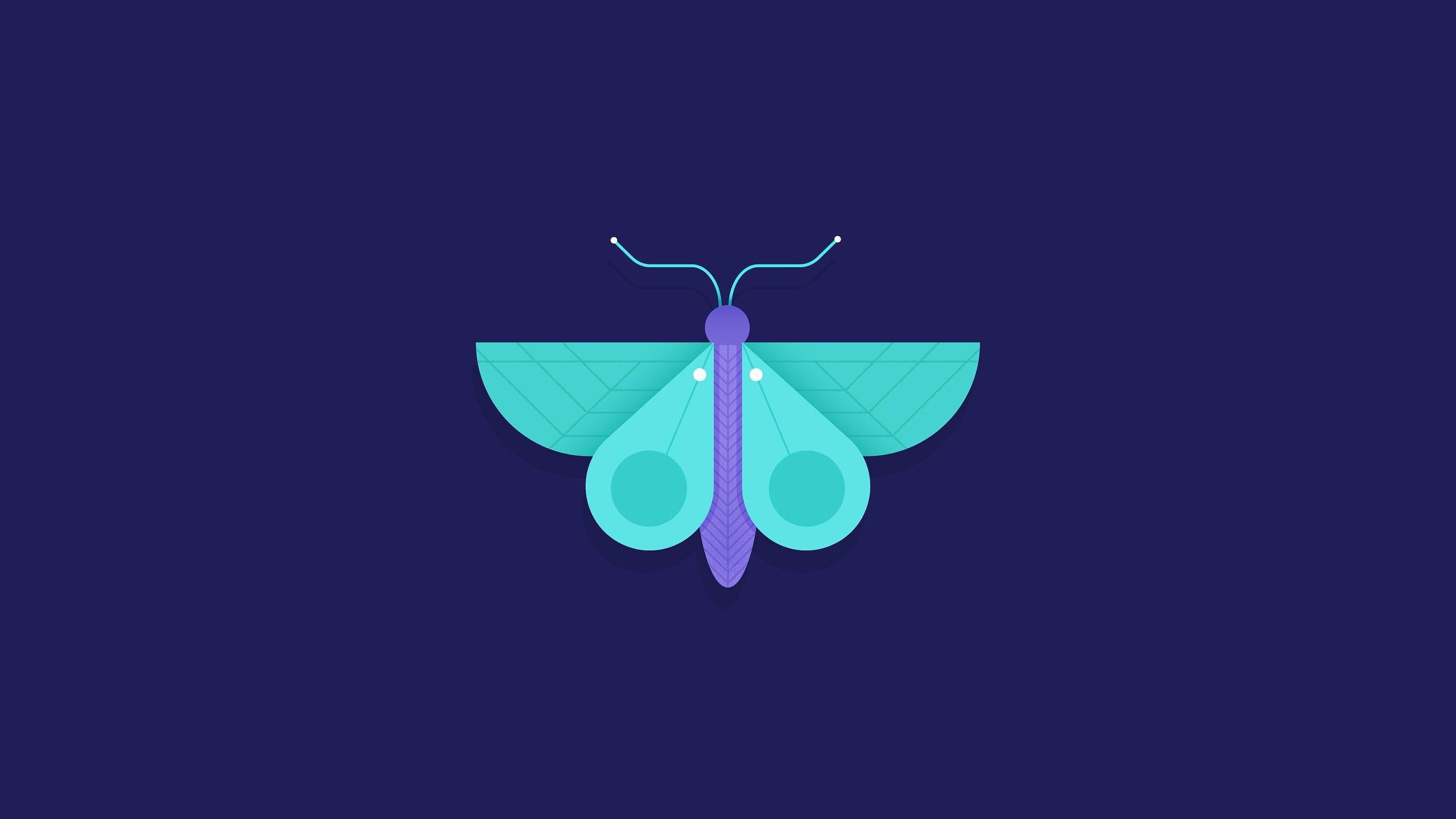 butterfly, minimalism, artist, hd, digital art, HD Wallpaper