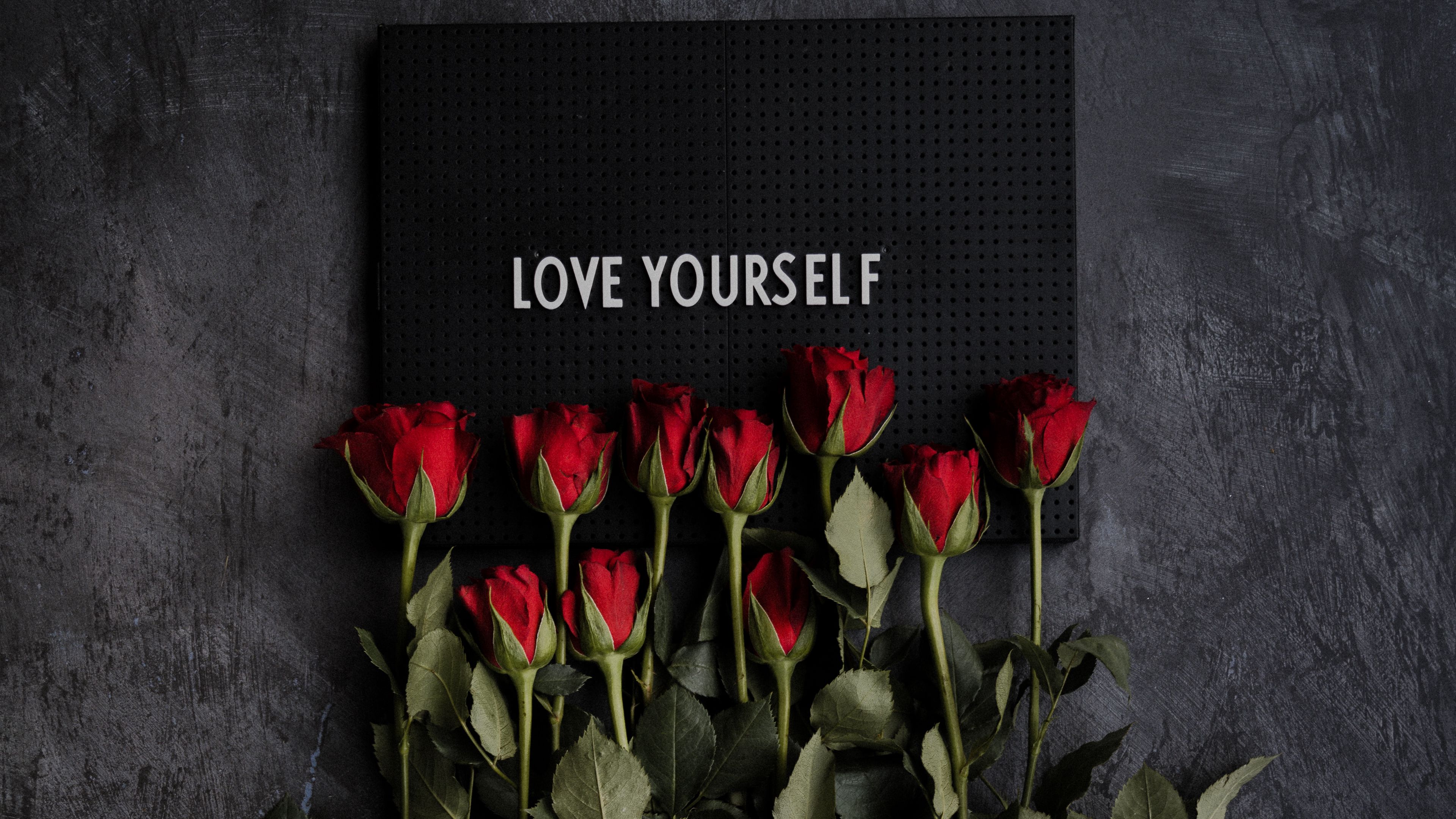 motivation, inscription, plate, flowers, roses, 4k, HD Wallpaper