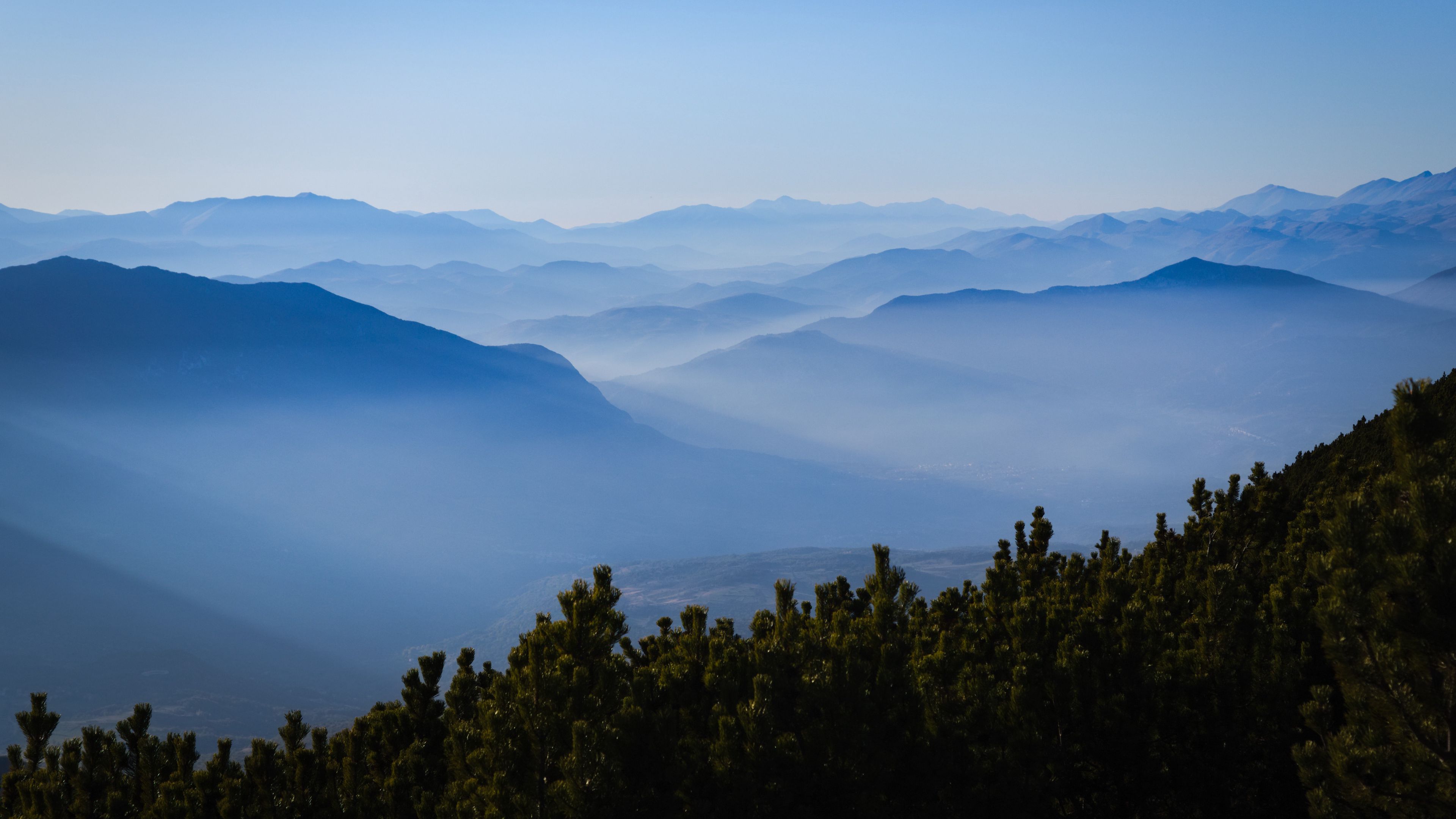 hills, spruce, fog, distance, 4k, HD Wallpaper