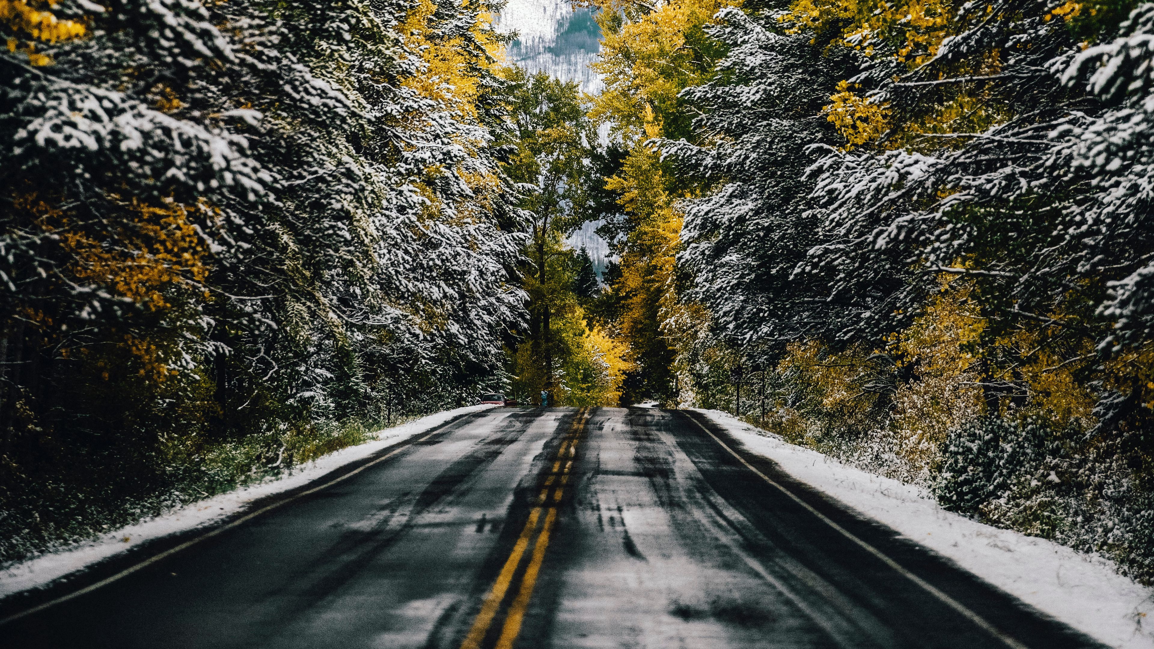 road, trees, snow, mountain, peak, 4k, HD Wallpaper