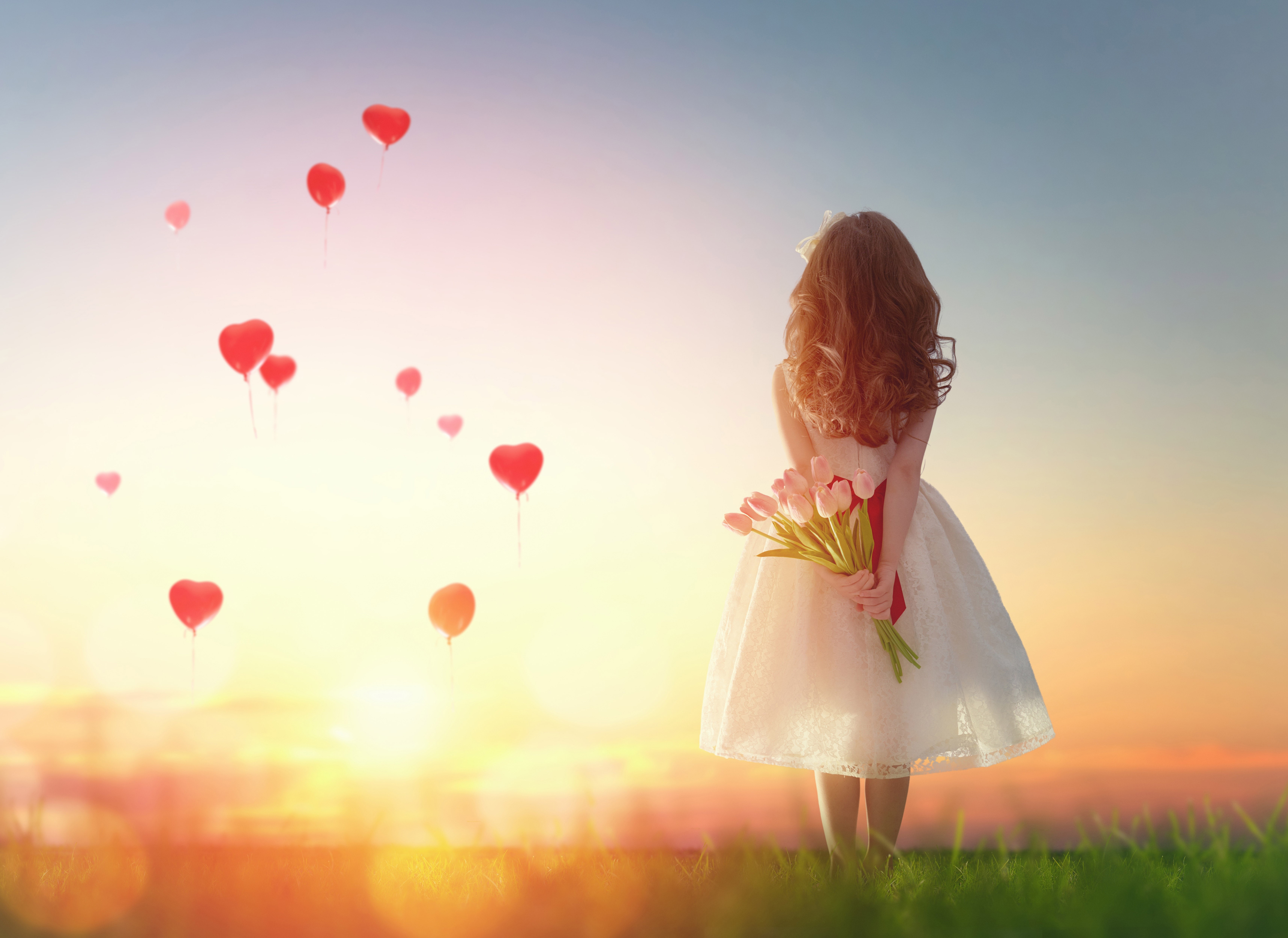 photography, love, cute, hd, 4k, 5k, flowers, tulips, HD Wallpaper