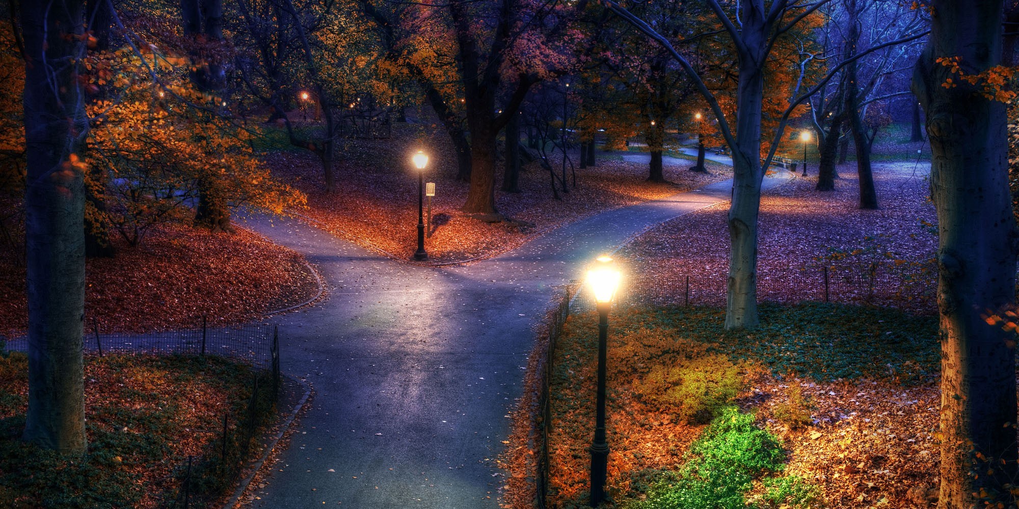 nature, trees, fall, landscape, HD Wallpaper