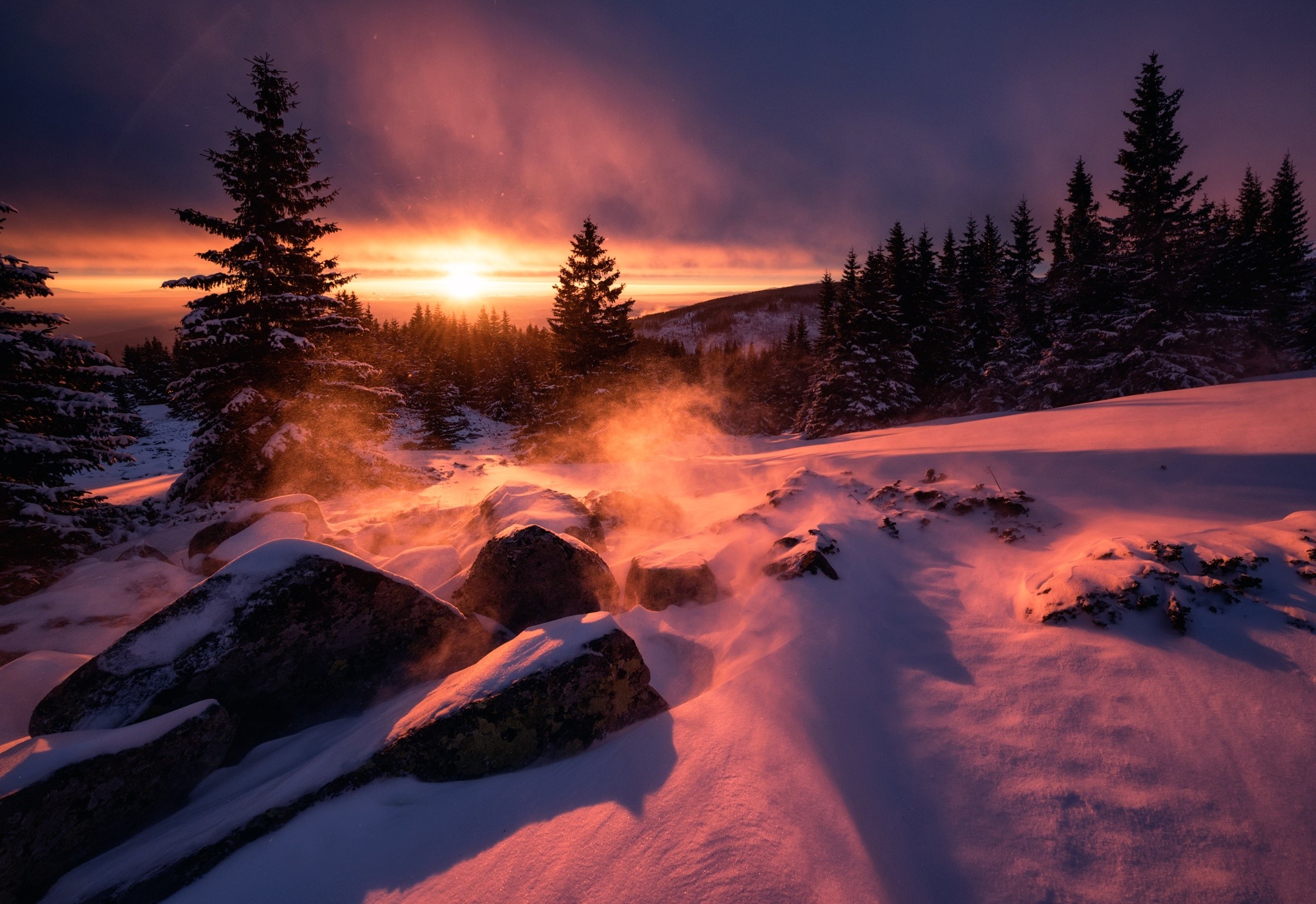 winter, snow, sunset, nature, HD Wallpaper