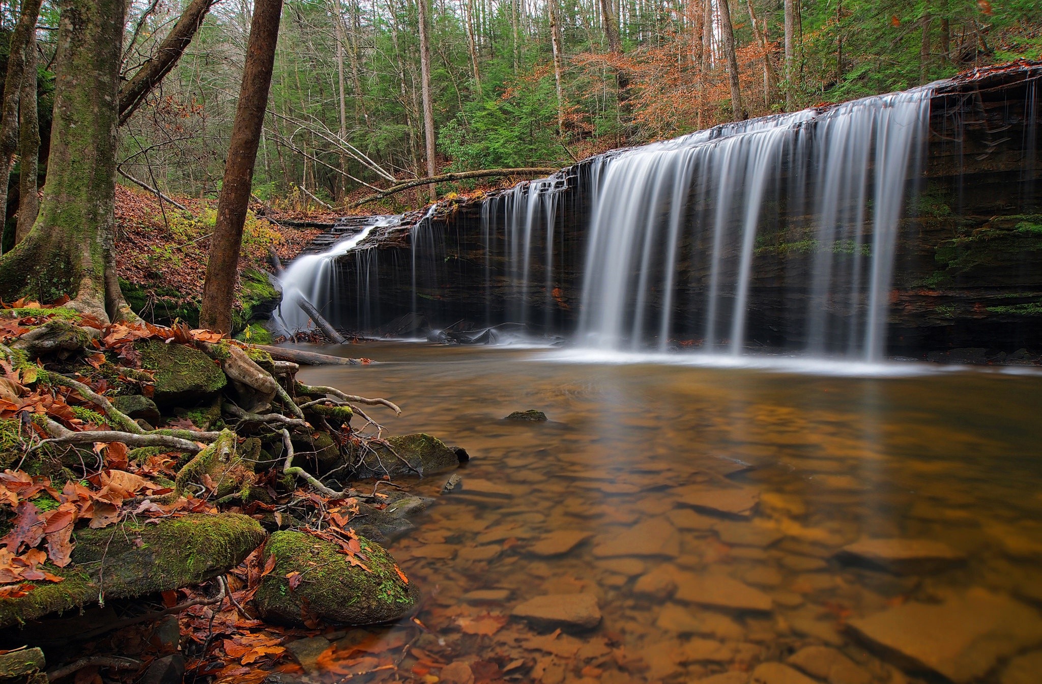 waterfall, nature, hd, forest, HD Wallpaper