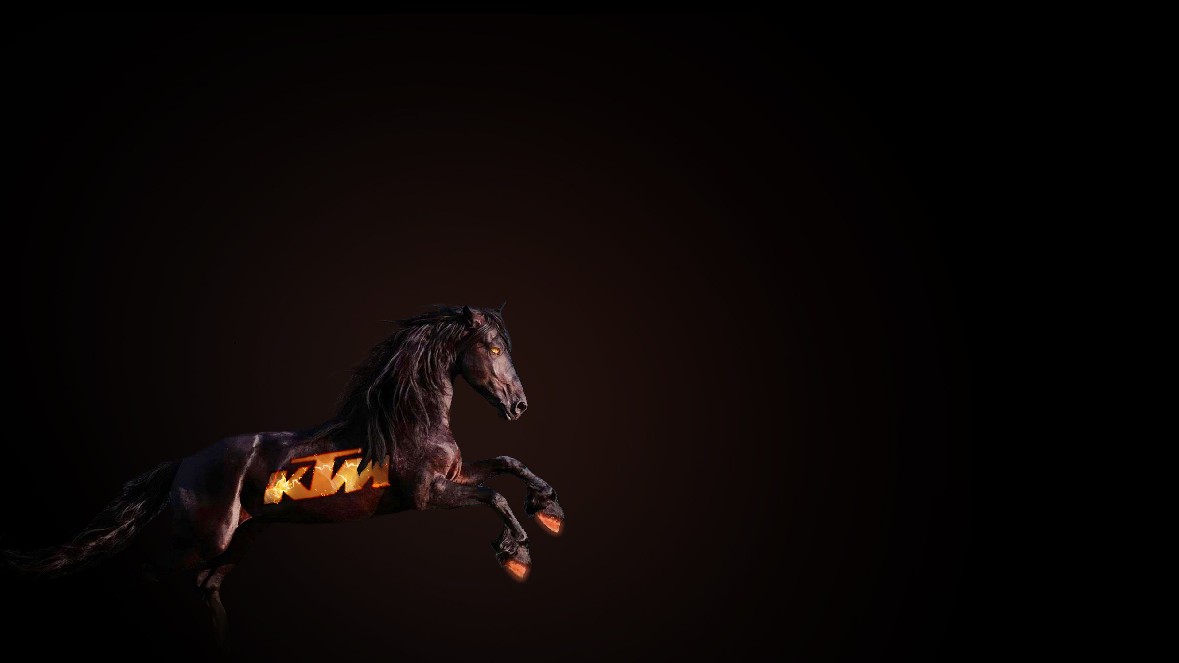 ktm, horse, funny, HD Wallpaper
