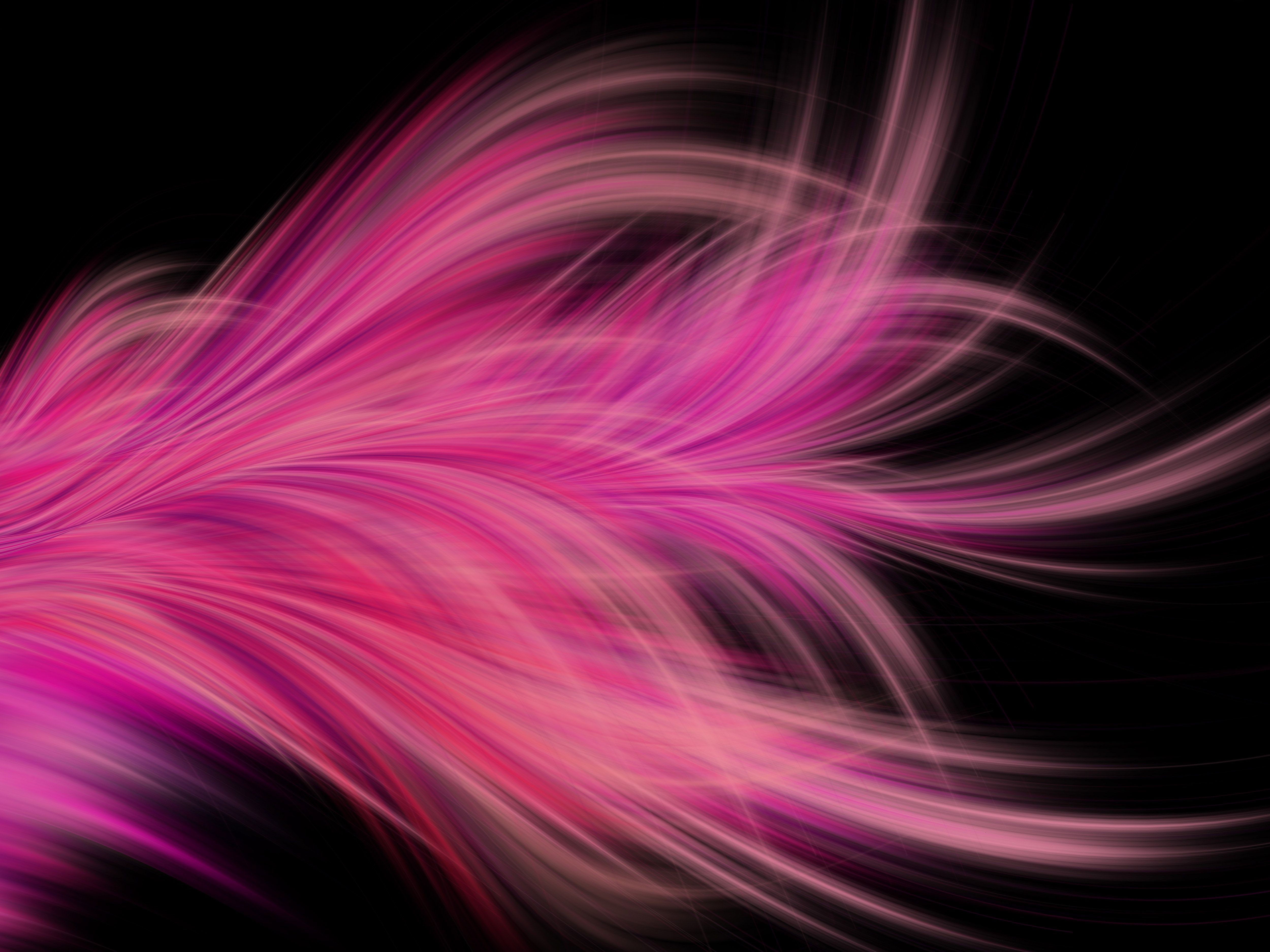 feather, abstract, pink, hd, 5k, HD Wallpaper