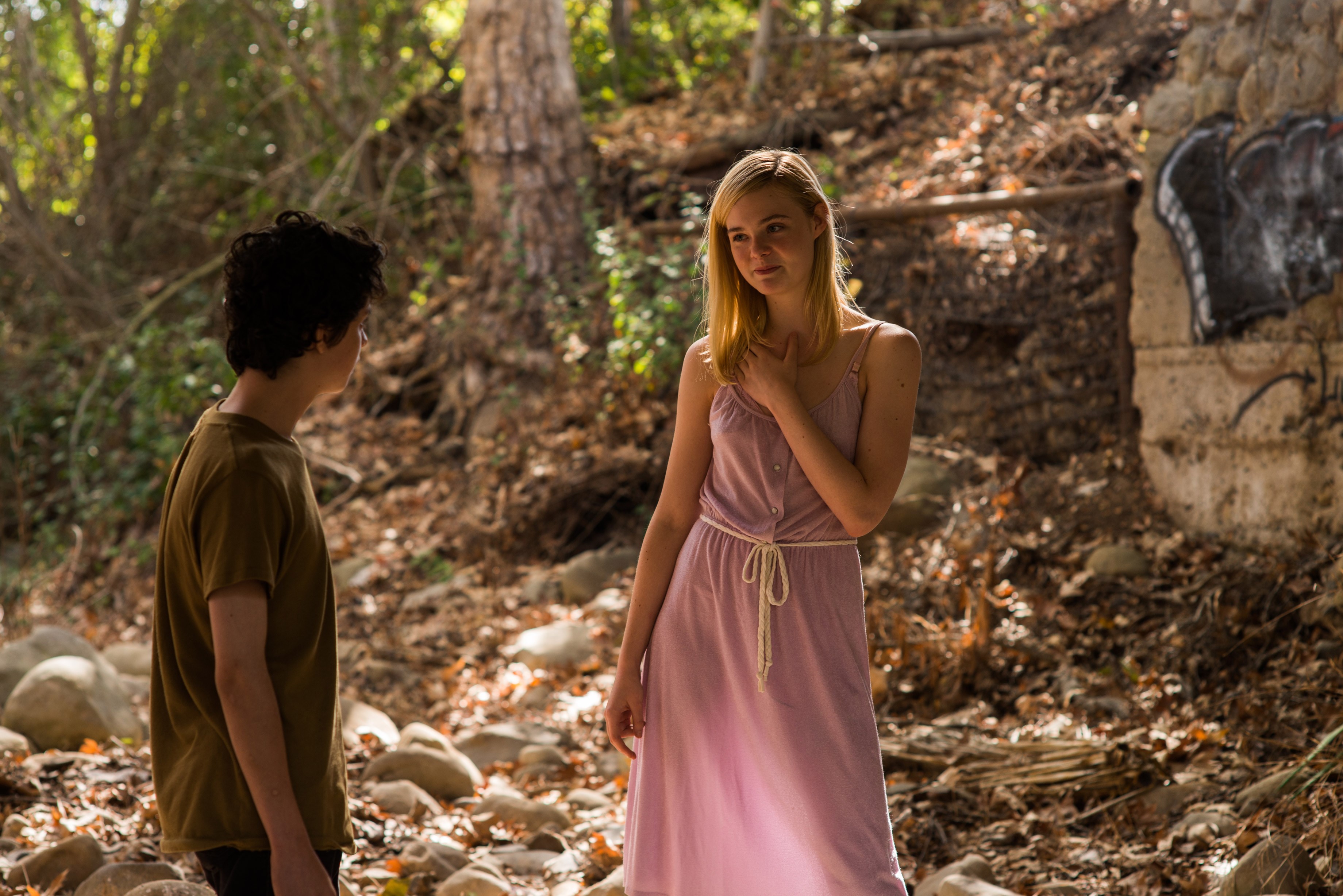 elle fanning, 20th century women, tv shows, HD Wallpaper