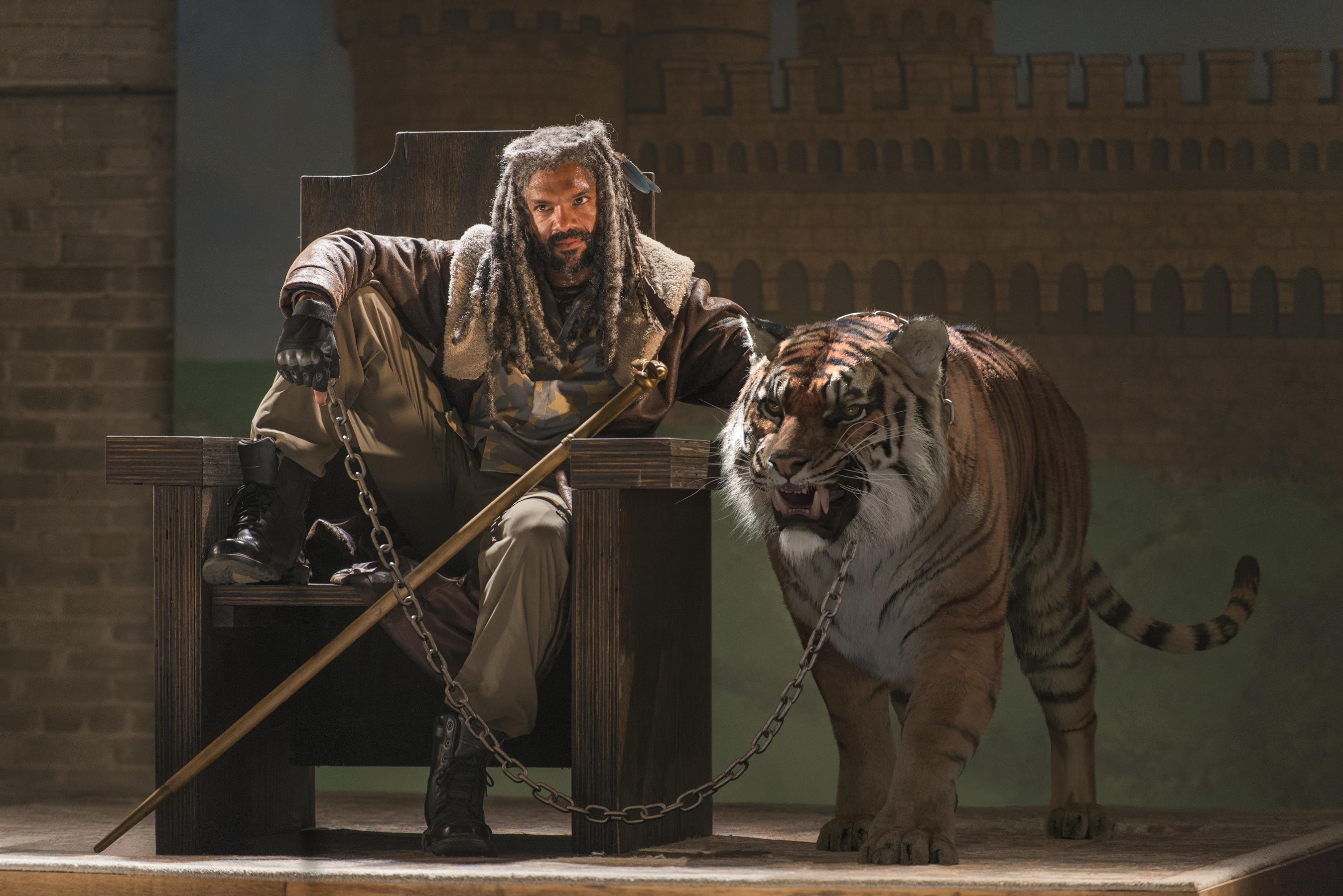 the walking dead, tv shows, hd, tiger, HD Wallpaper