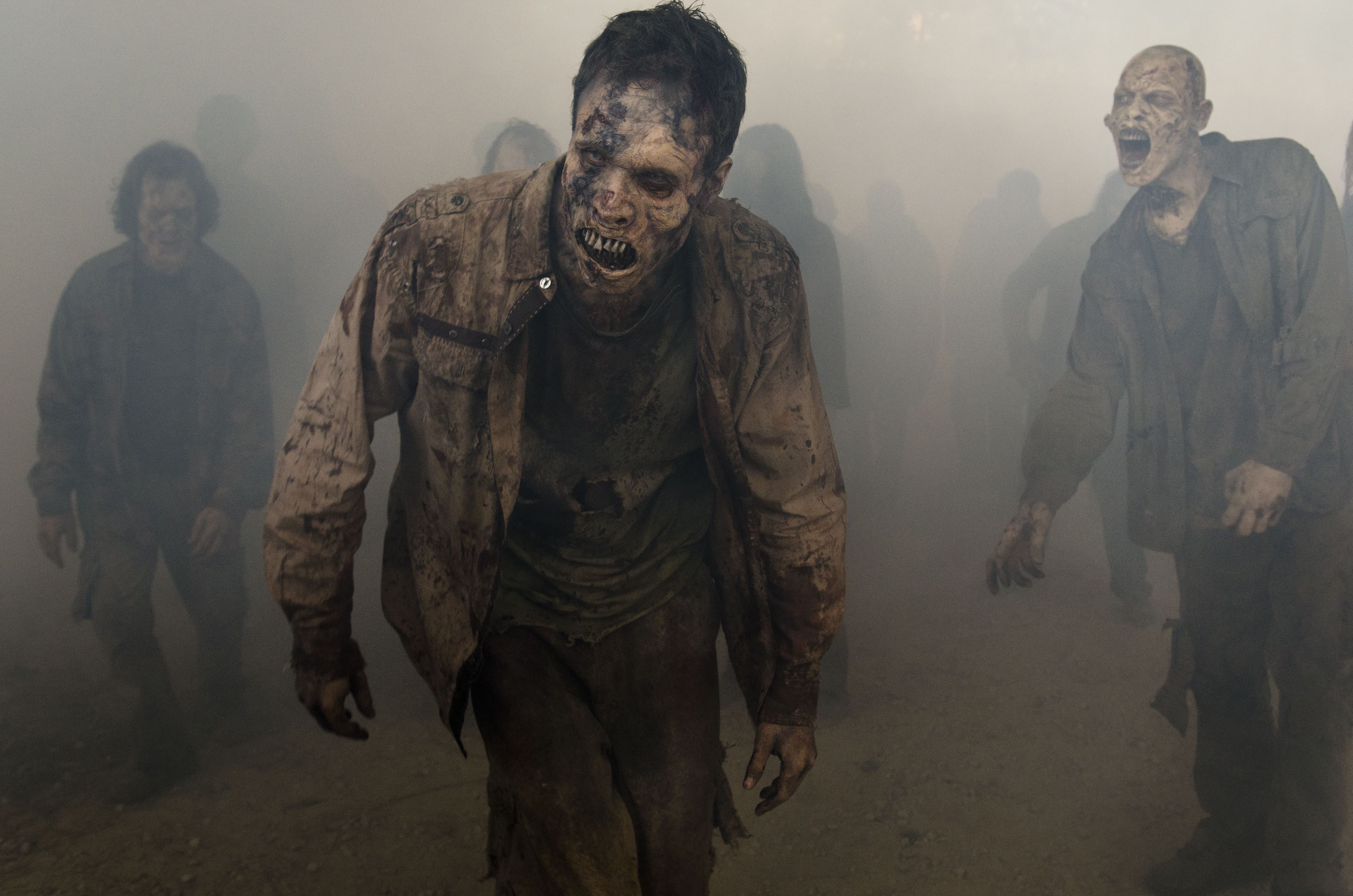 the walking dead, tv shows, hd, HD Wallpaper