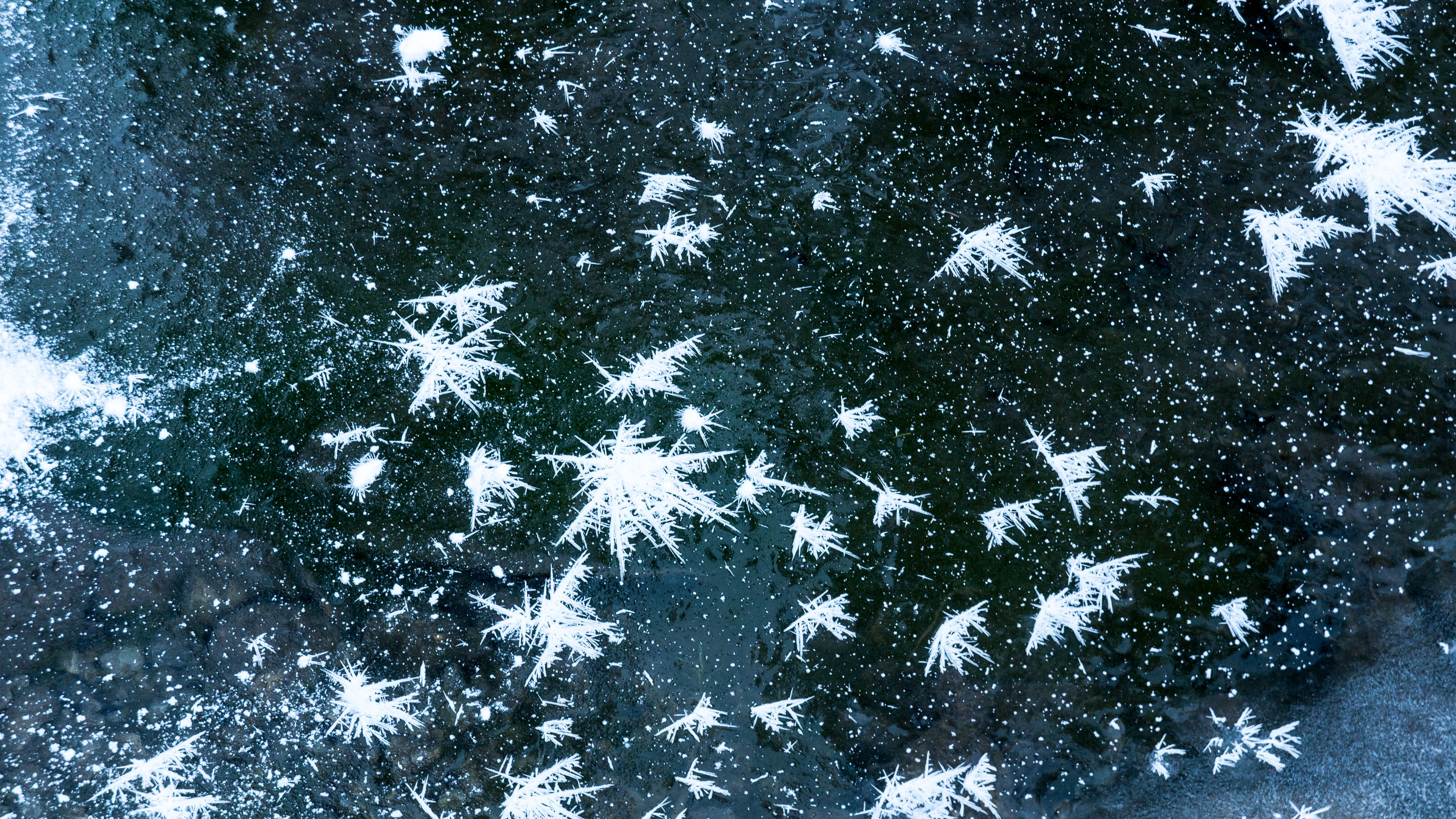snow, ice, water, macro, winter, 4k, HD Wallpaper