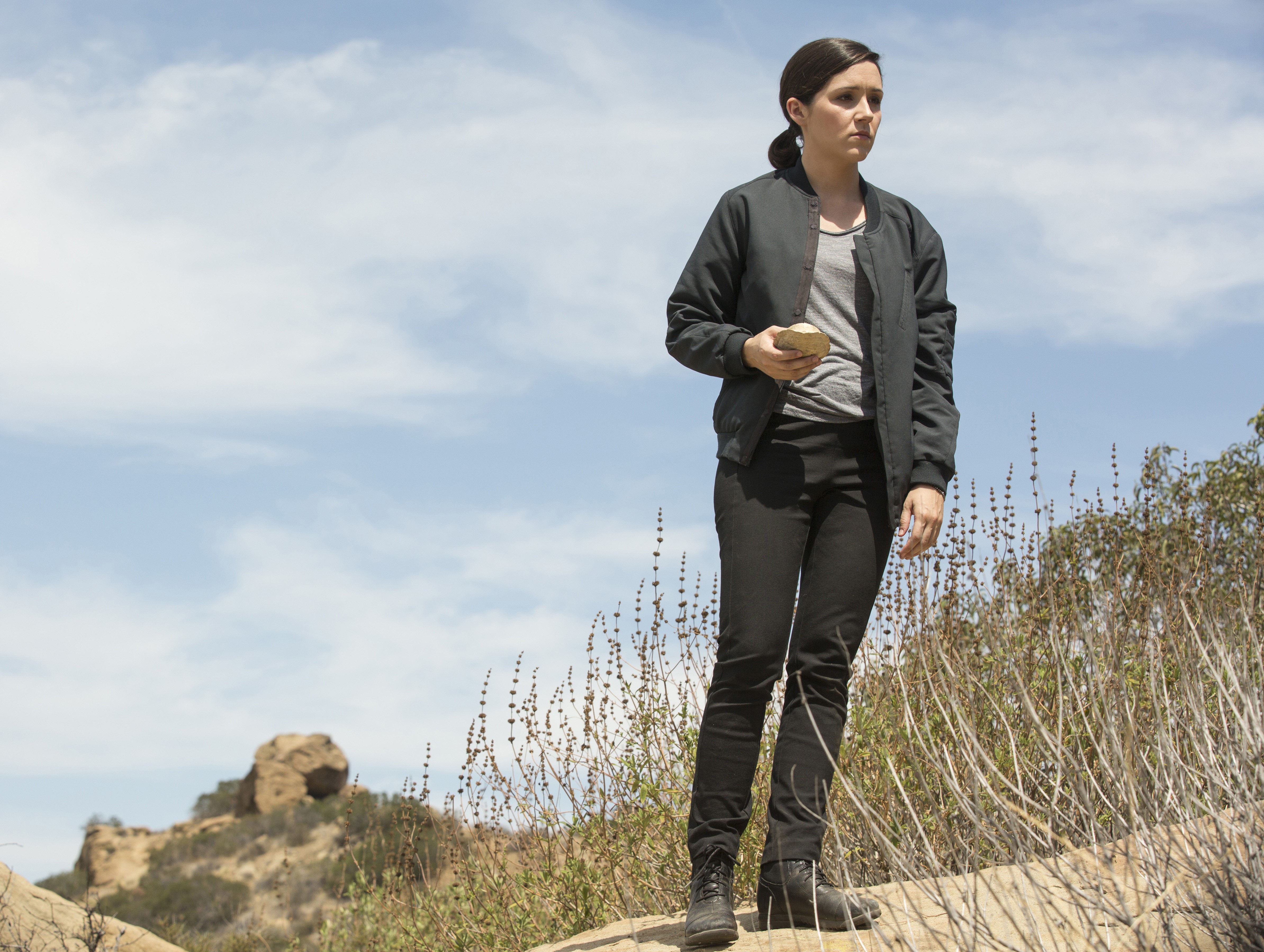 westworld, tv shows, HD Wallpaper