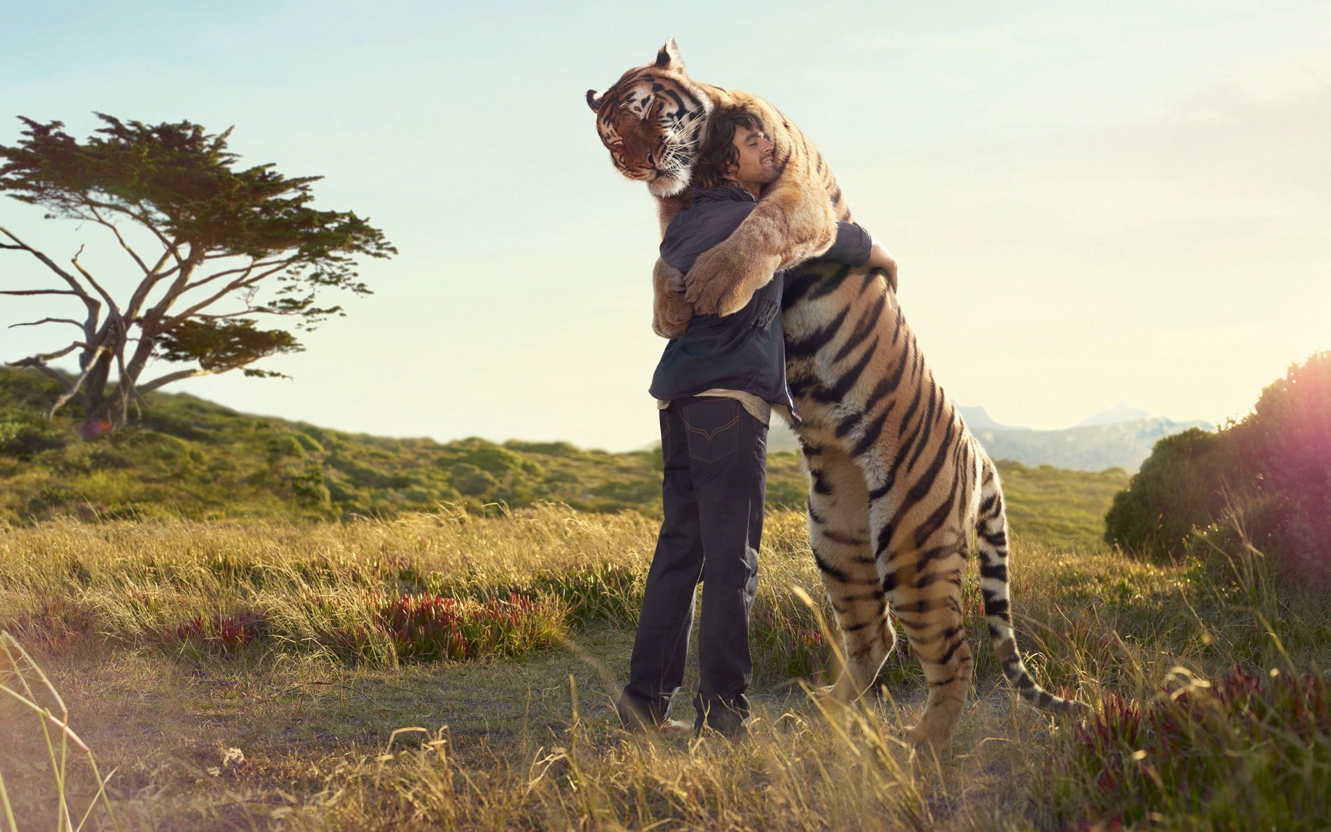 tiger, friends, animals, HD Wallpaper