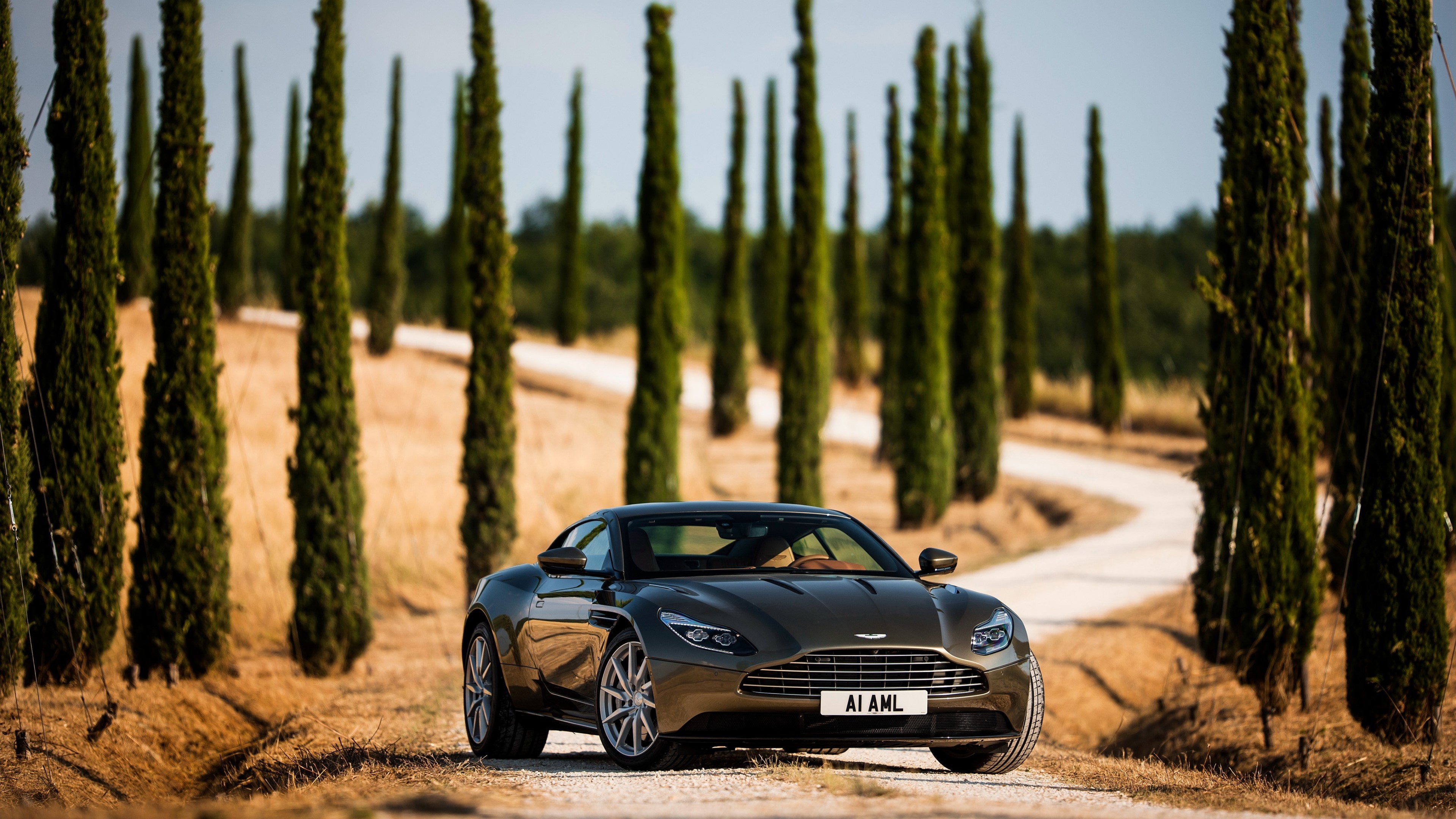 aston martin, cars, HD Wallpaper