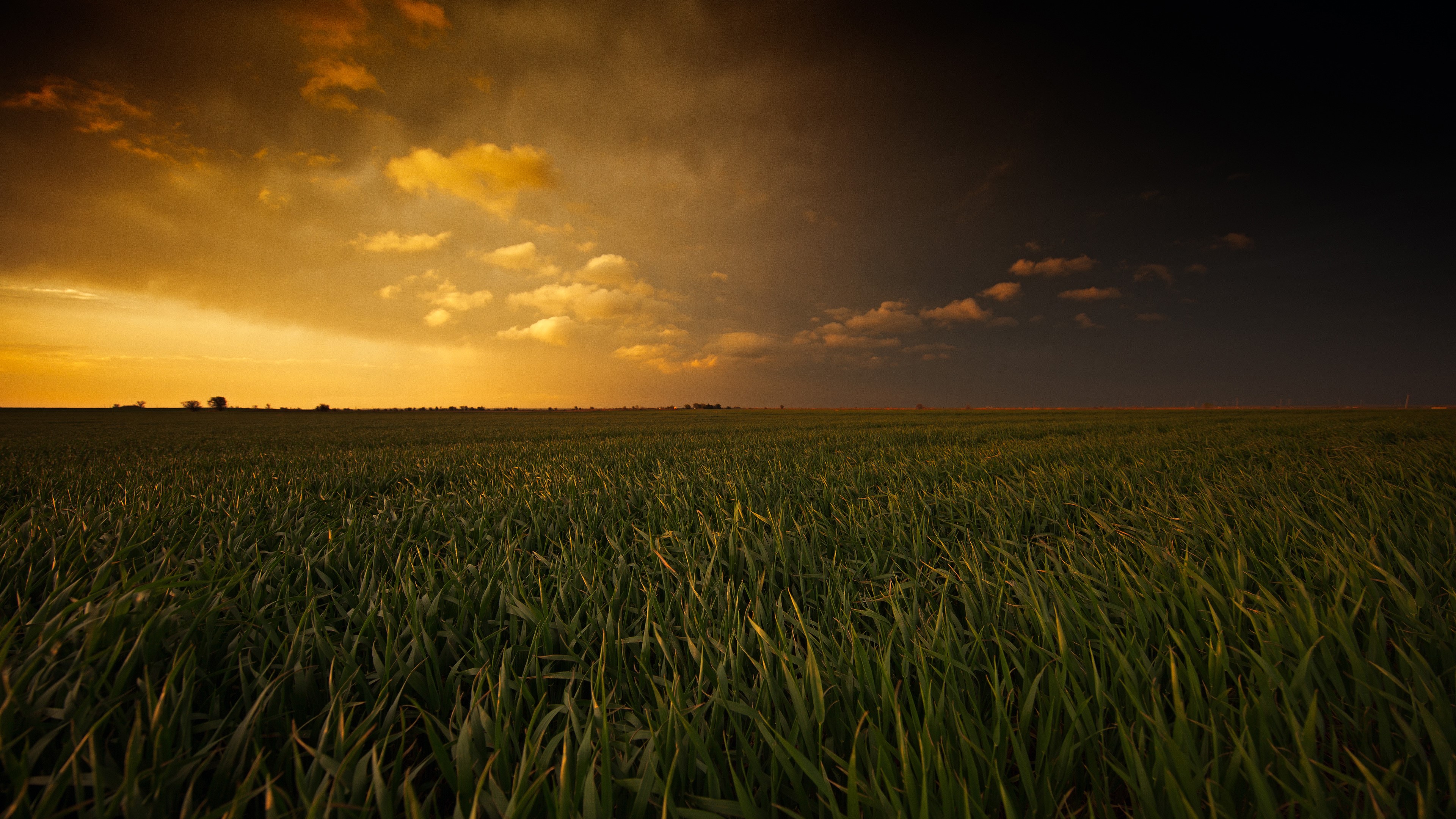 fields, nature, sunset, 4k, HD Wallpaper