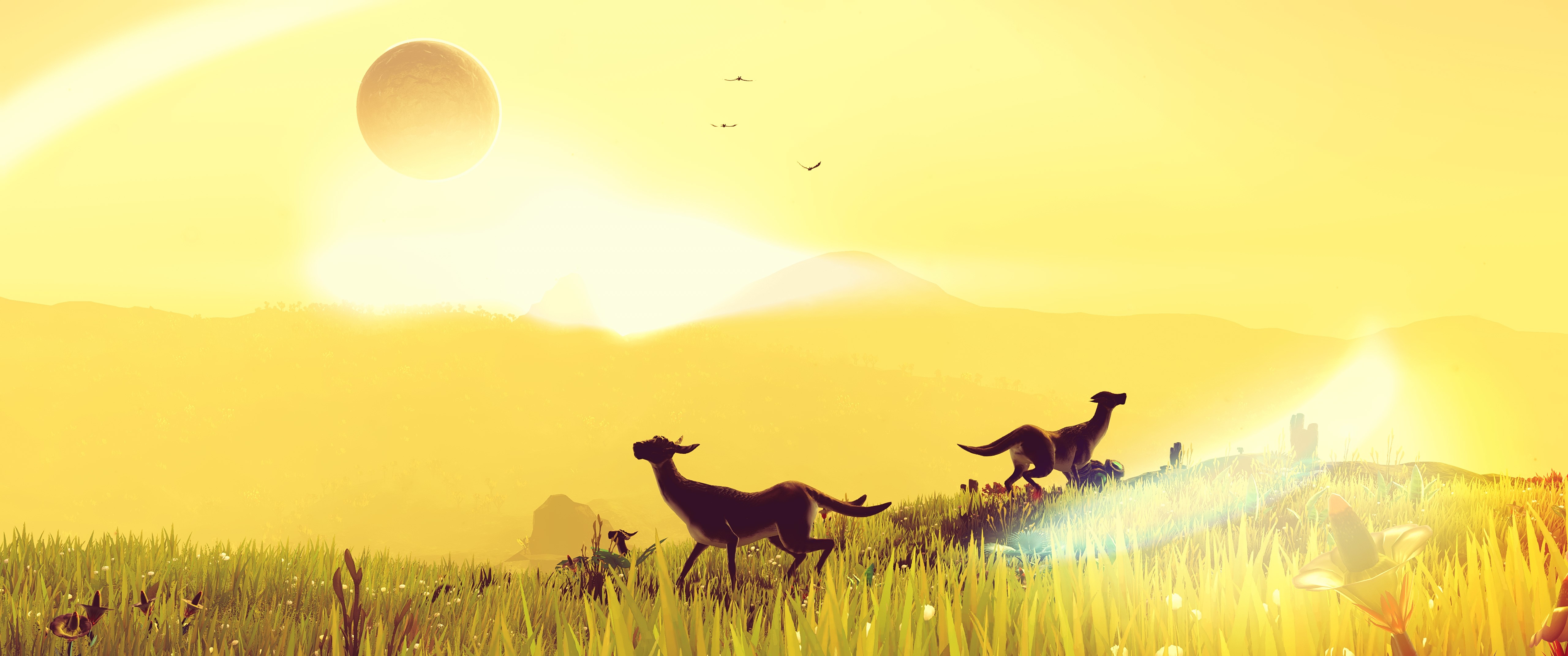 no mans sky, games, HD Wallpaper