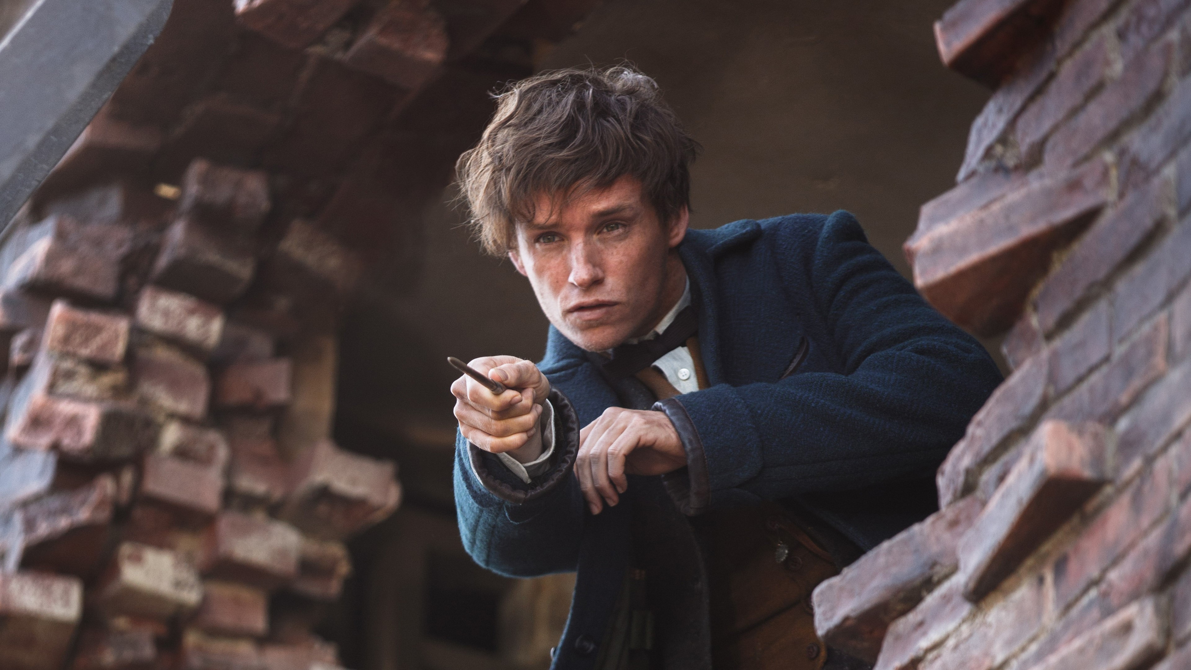 fantastic beasts and where to find them, 2016 movies, movies, eddie redmayne, HD Wallpaper