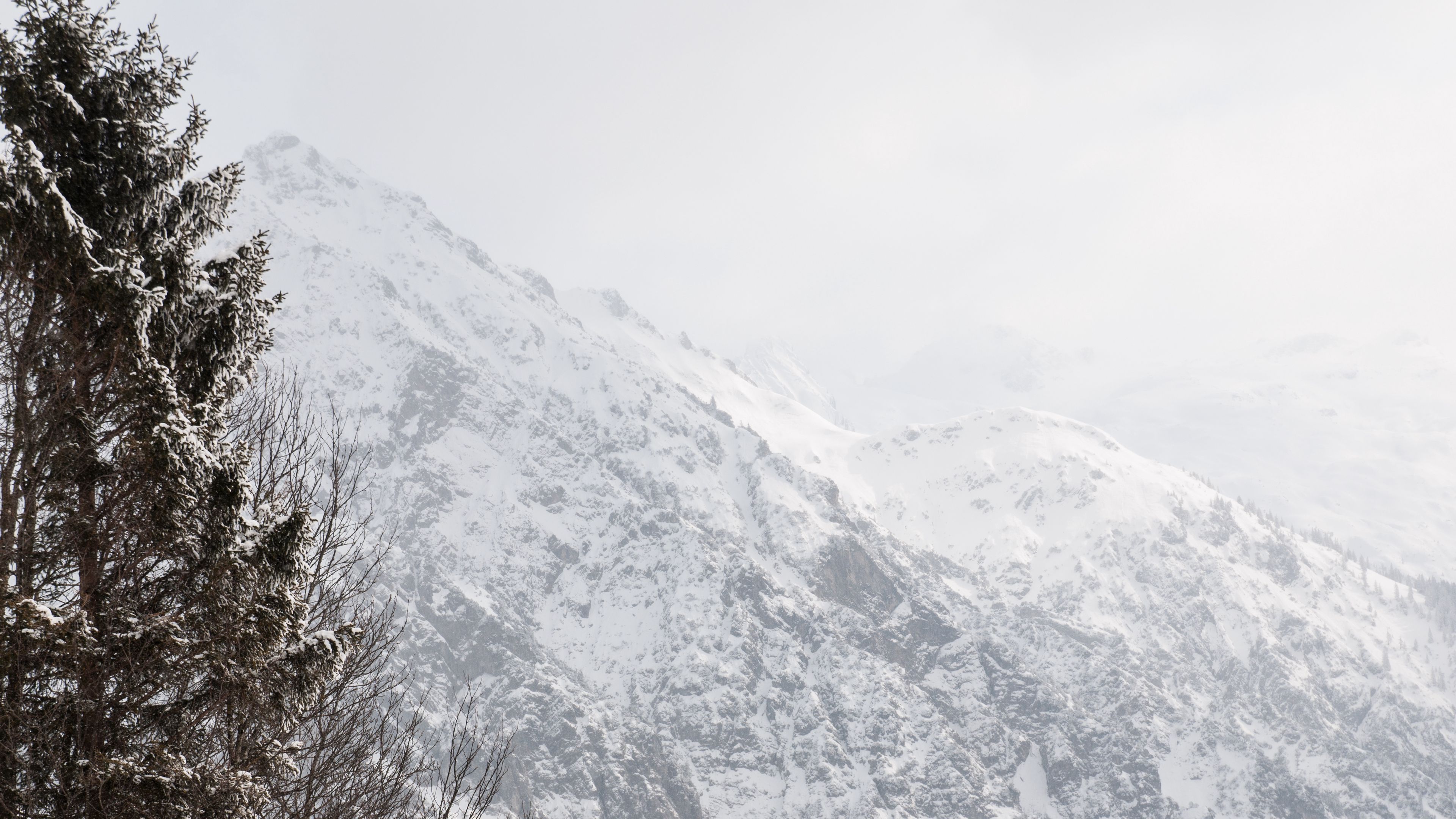 mountain, trees, snow, slope, winter, 4k, HD Wallpaper