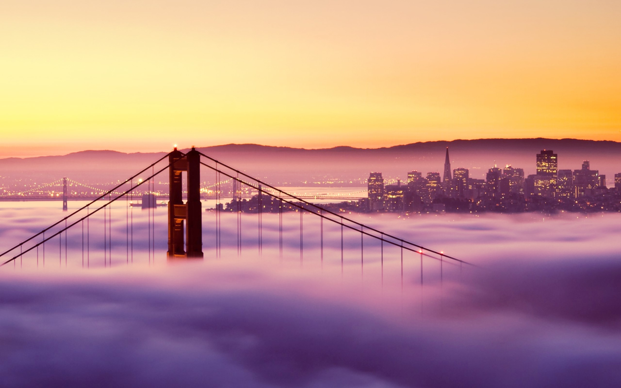 san franciso, world, city, bridge, HD Wallpaper