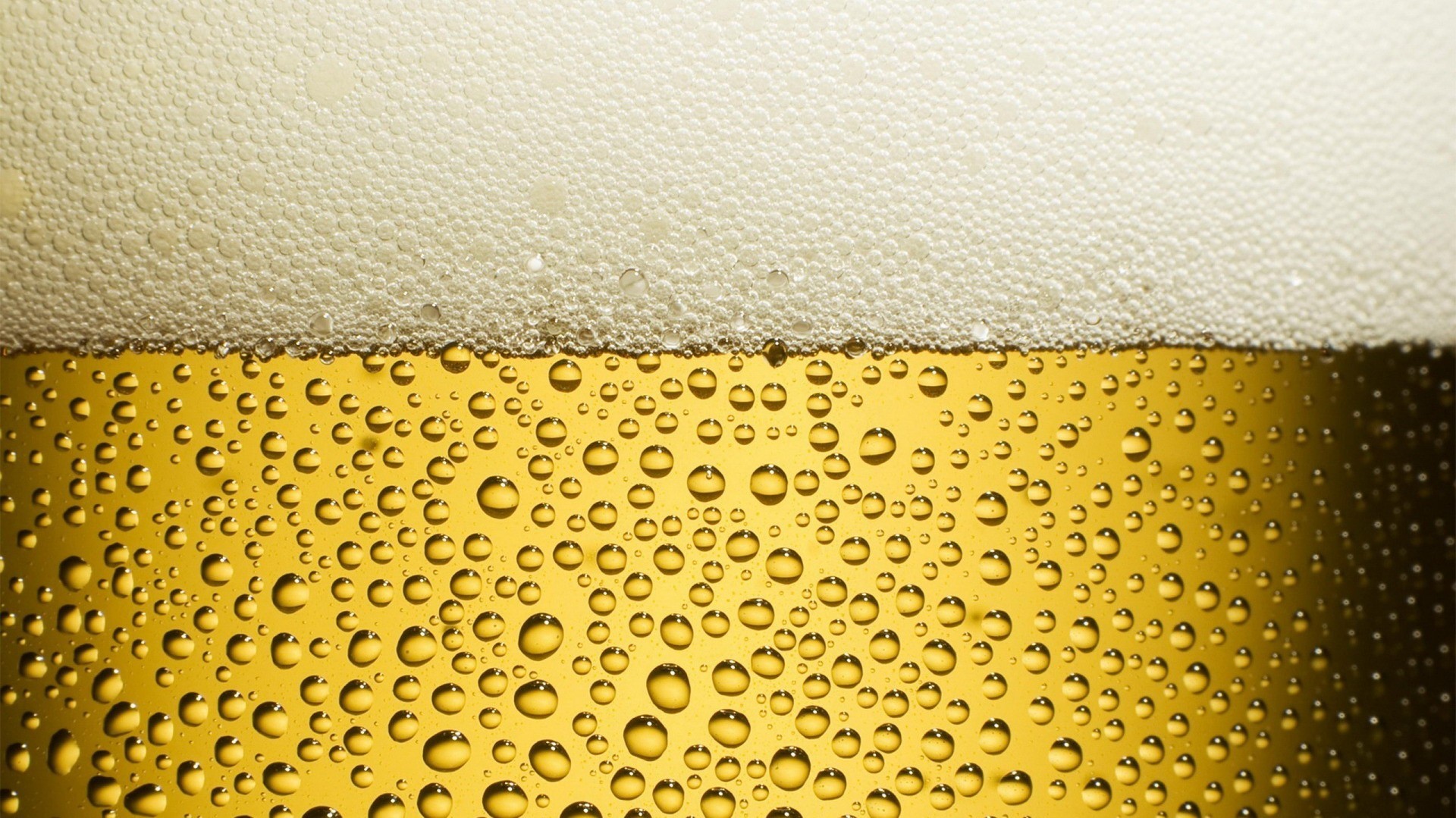 beer, celebrations, drink, HD Wallpaper