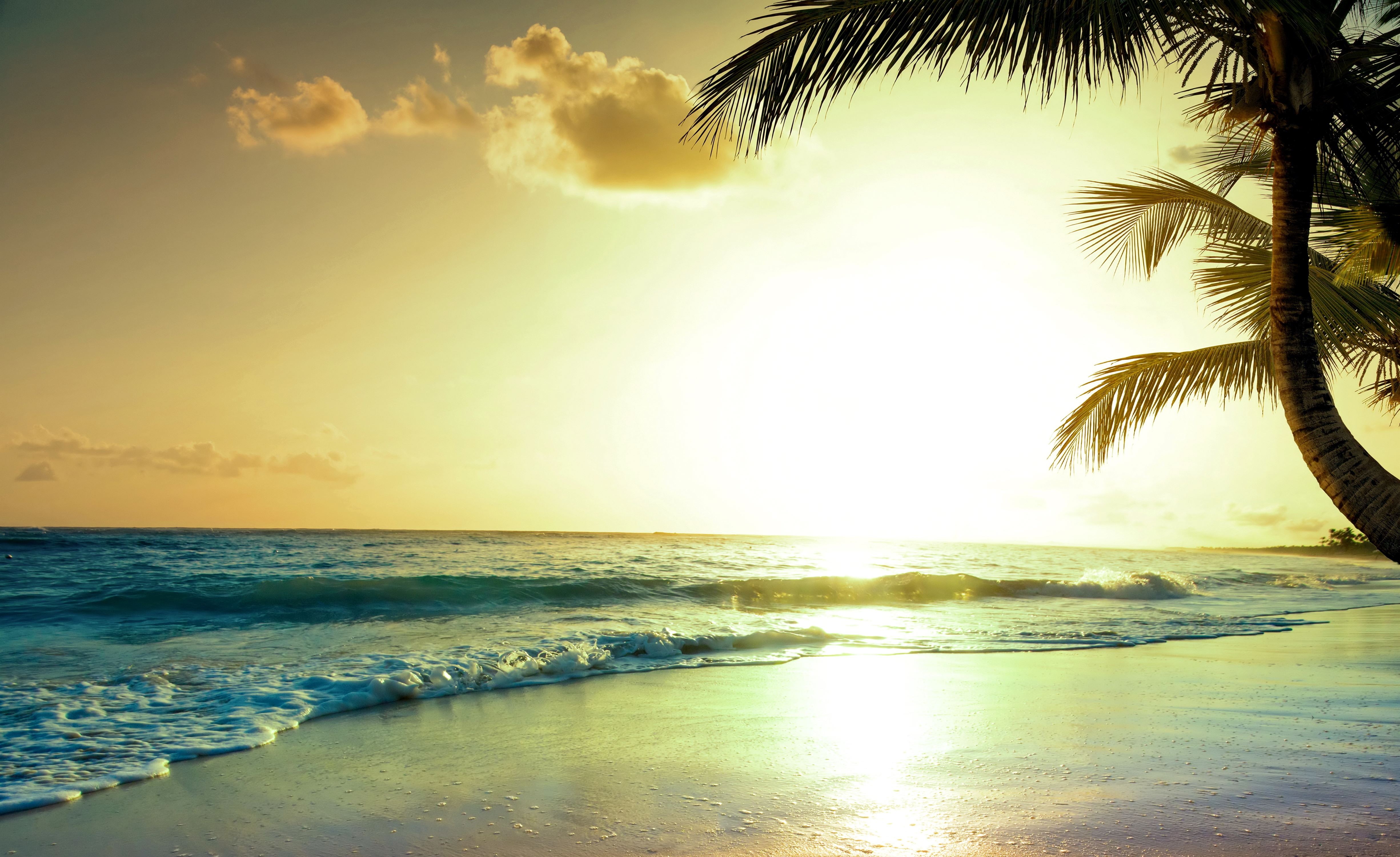 beach, sunset, nature, 4k, HD Wallpaper
