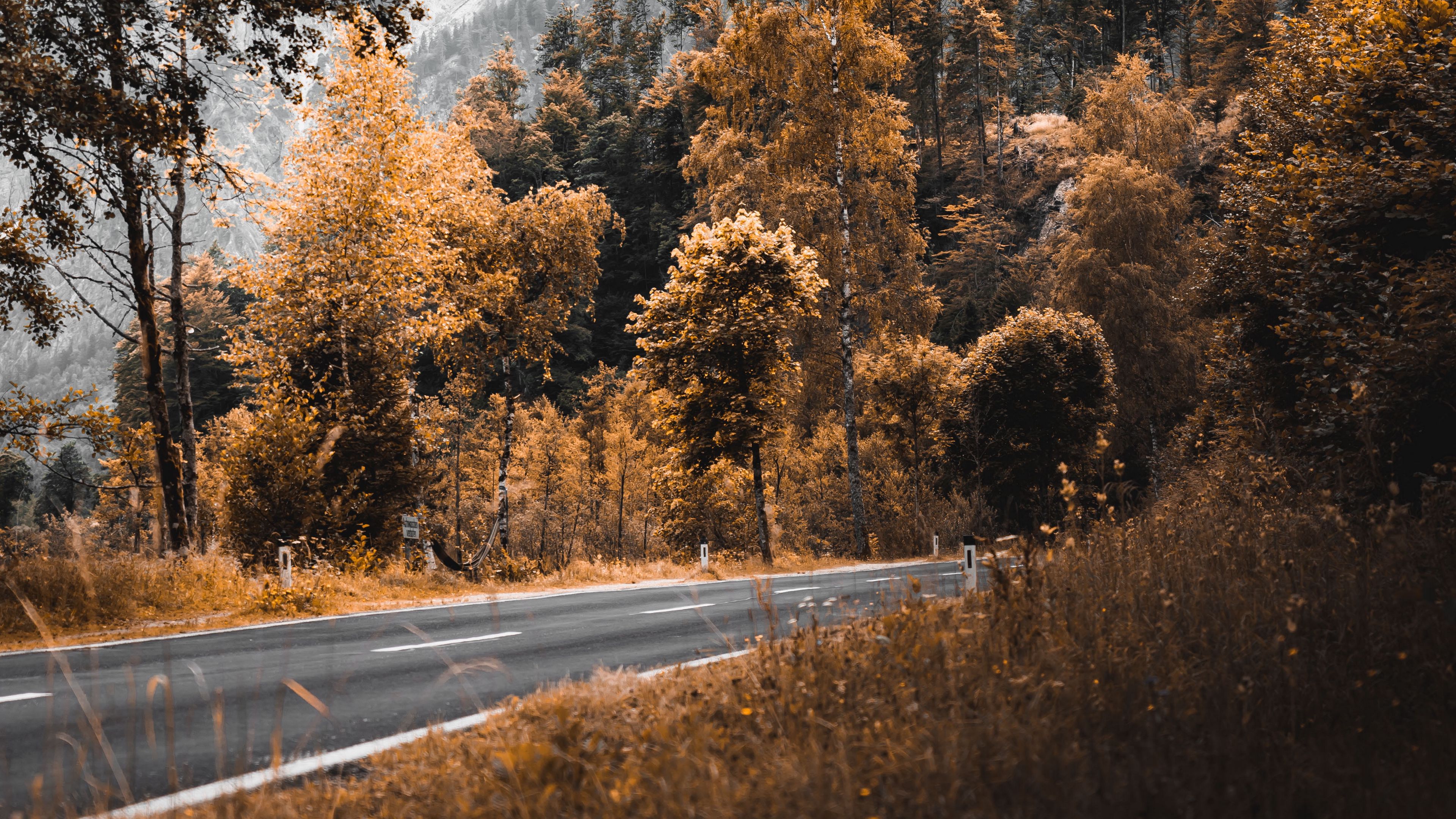 road, mountains, trees, nature, 4k, HD Wallpaper