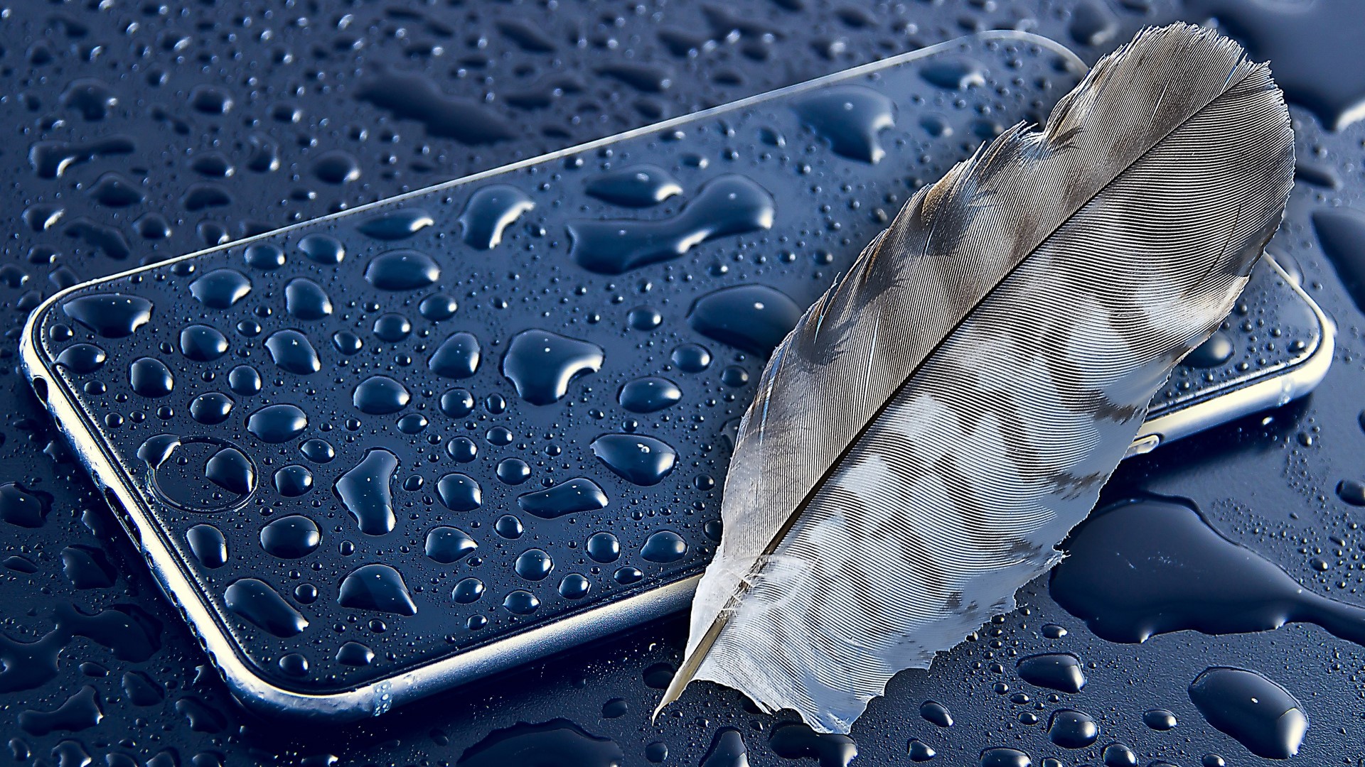 apple, feather, photography, hd, HD Wallpaper
