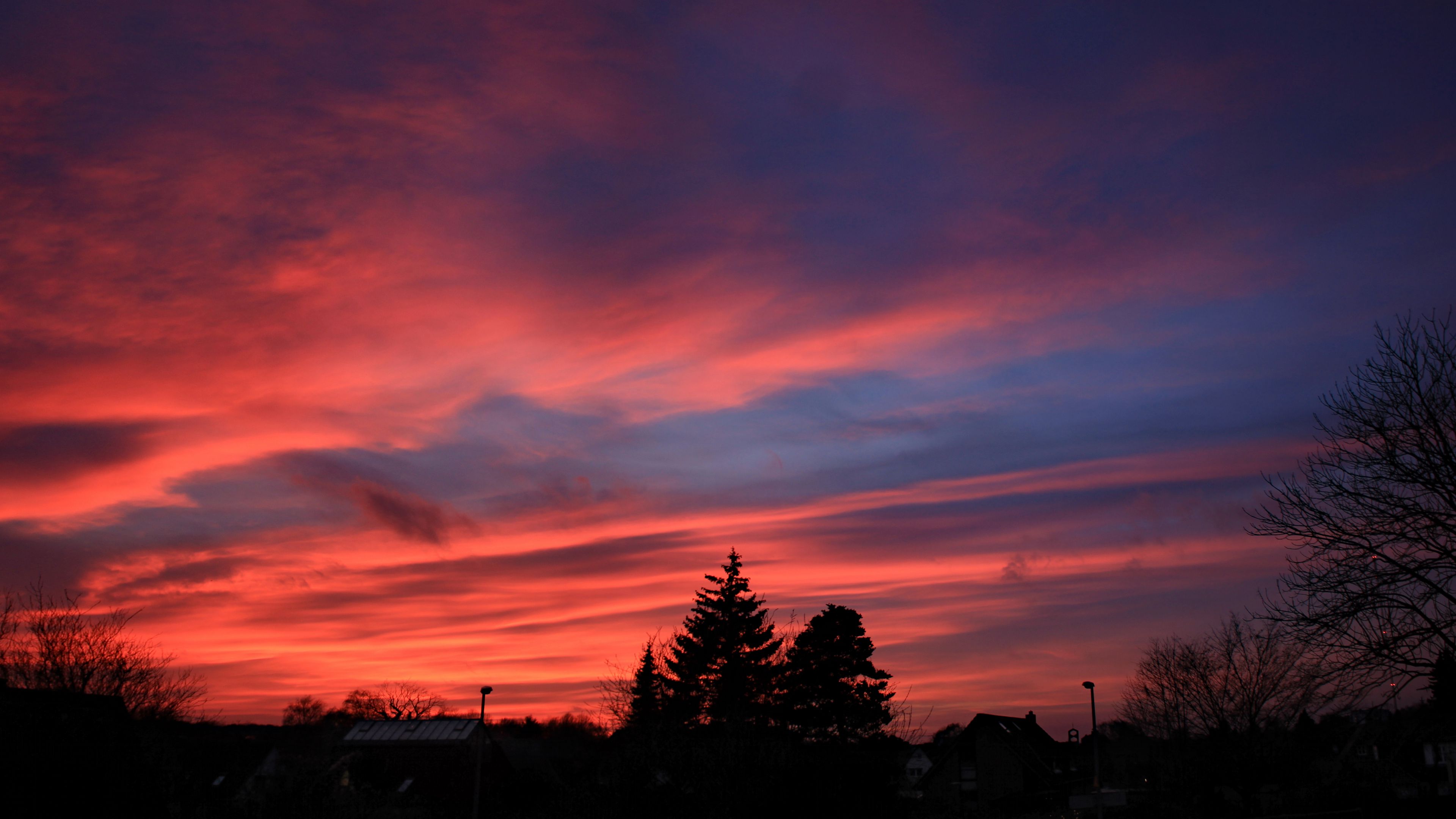 dusk, dark, sky, clouds, trees, 4k, HD Wallpaper